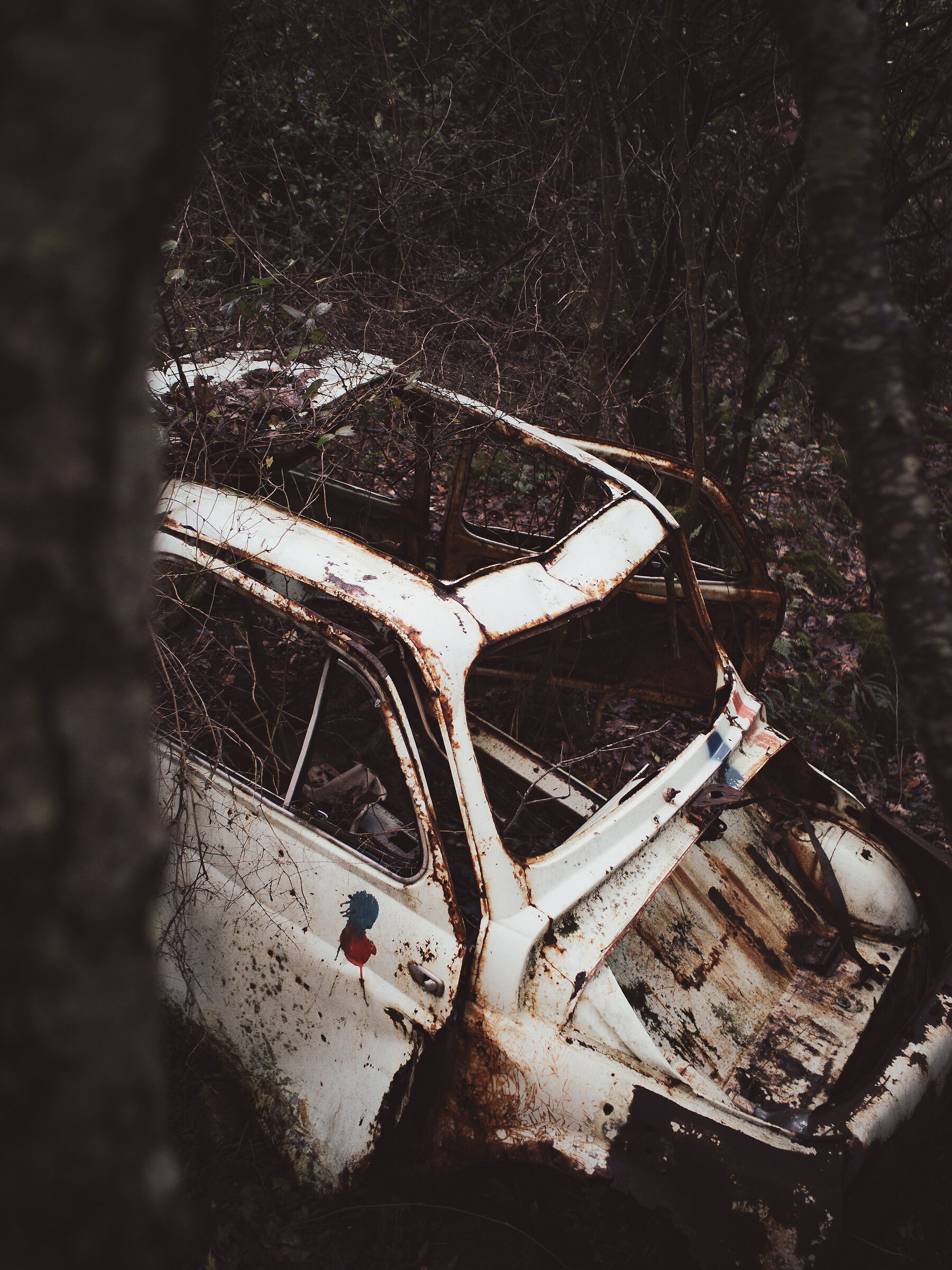 Untitled Photo