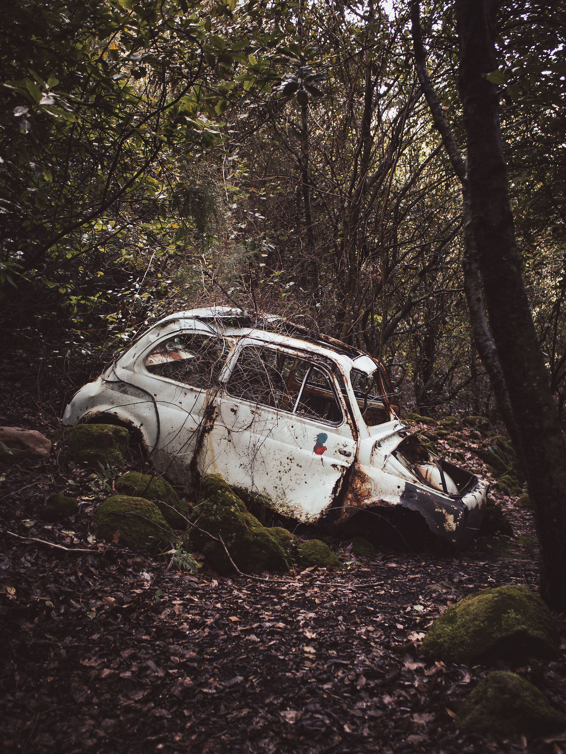 Untitled Photo