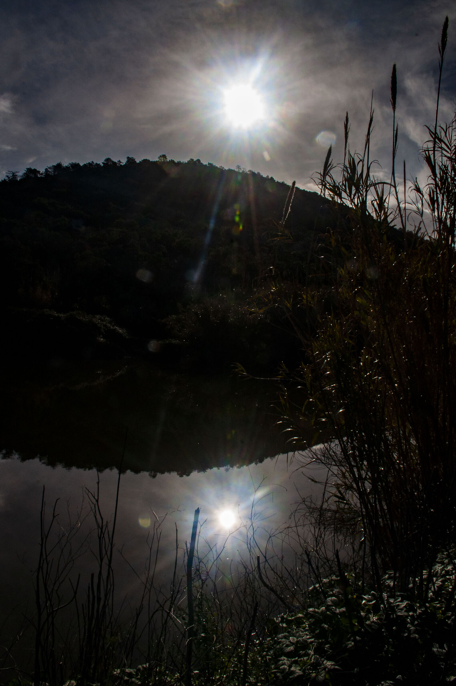 Reflection of the Sun in the pond