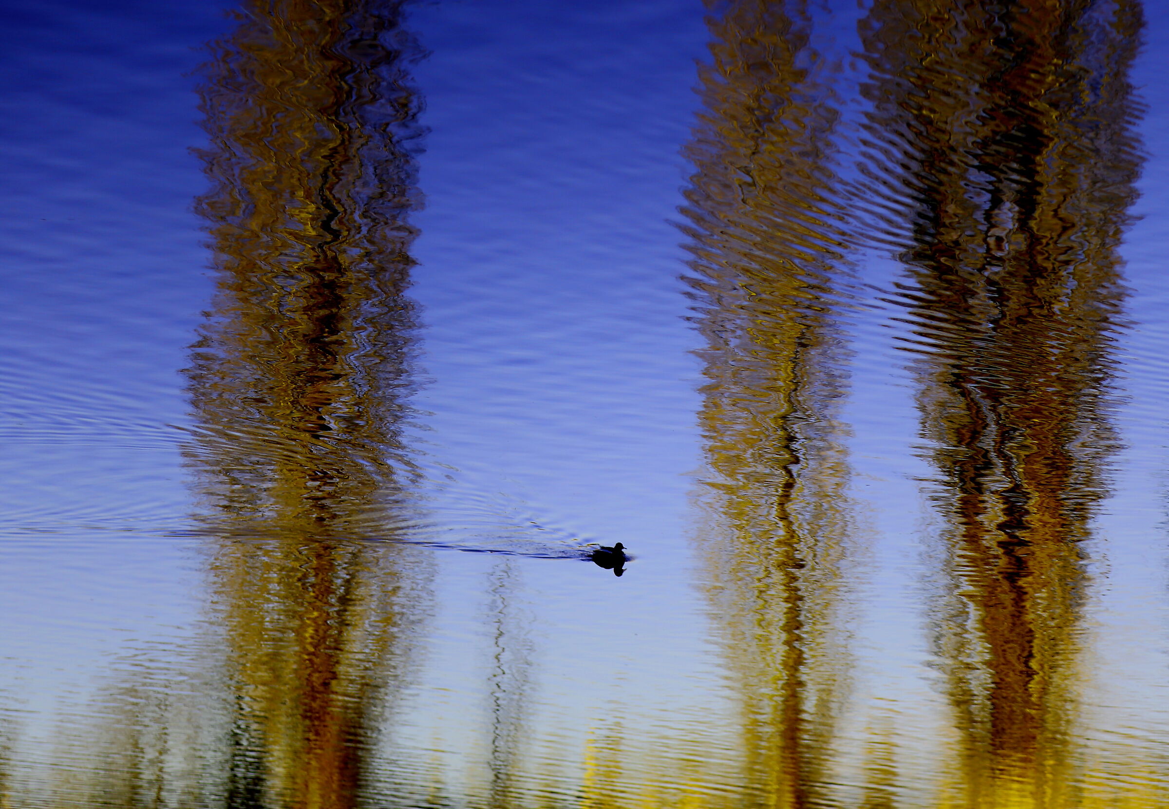 Di riflesso