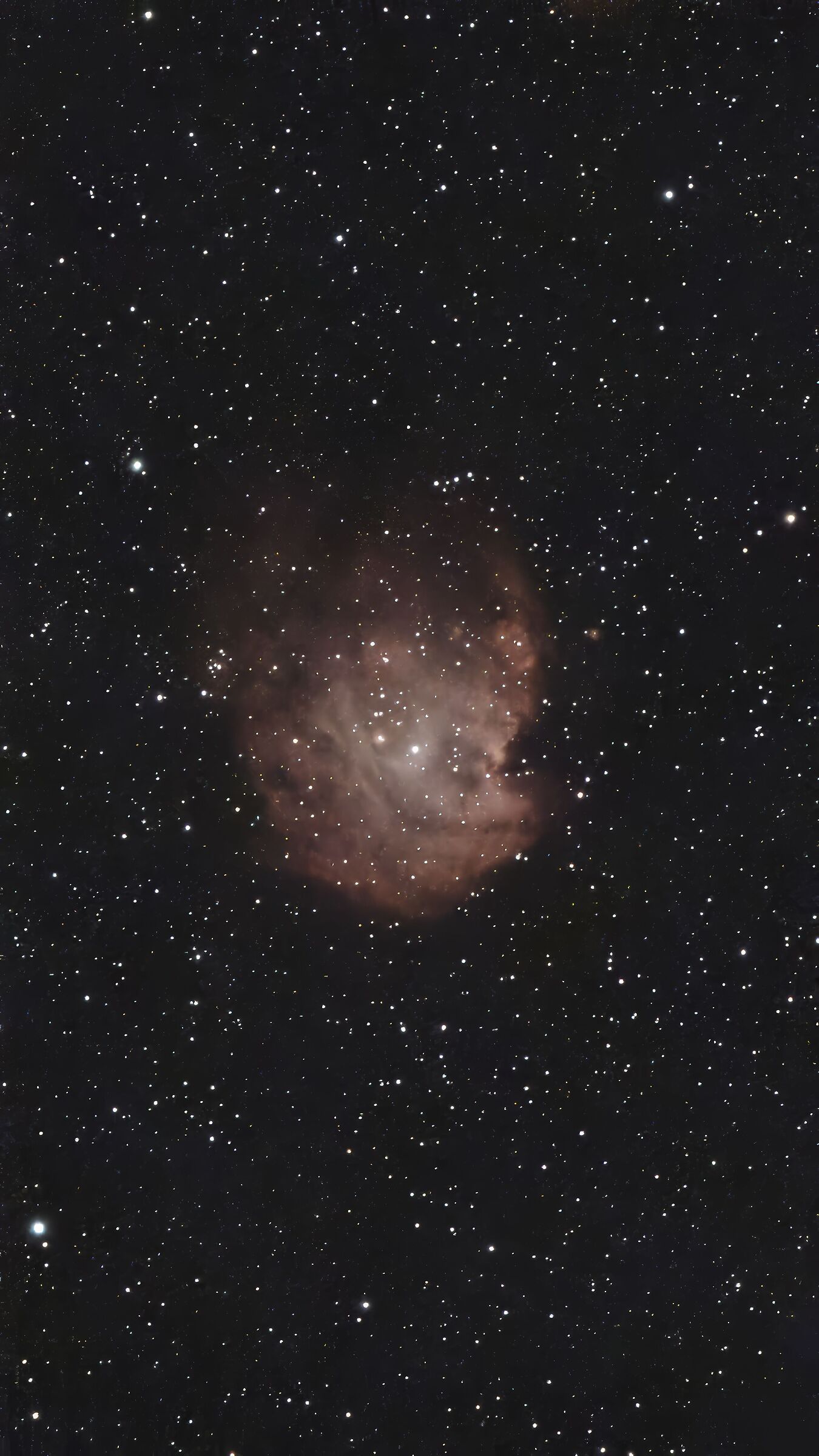 NGC 2175 - Monkey Head Nebula