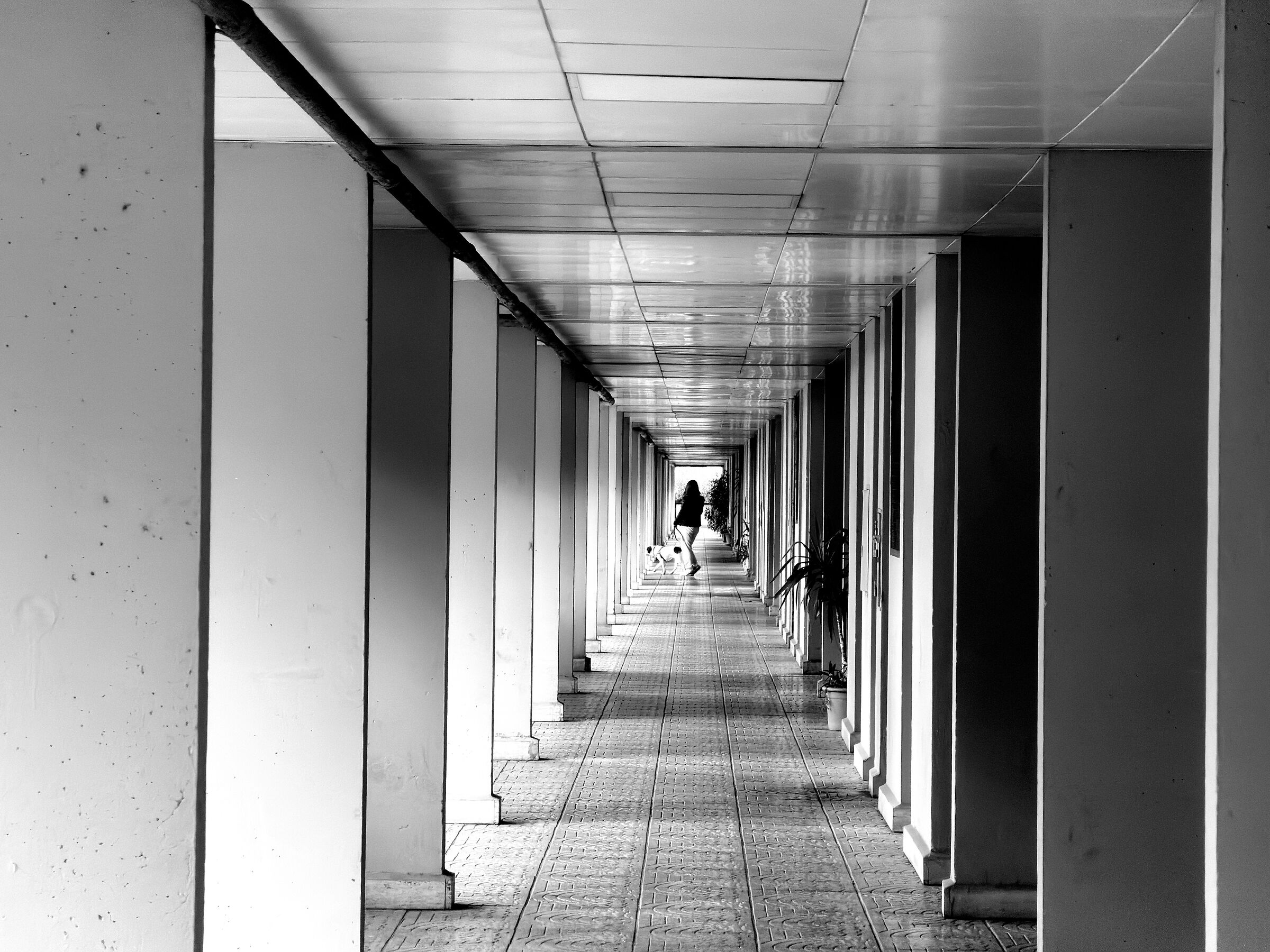 Rome, entrance to a building