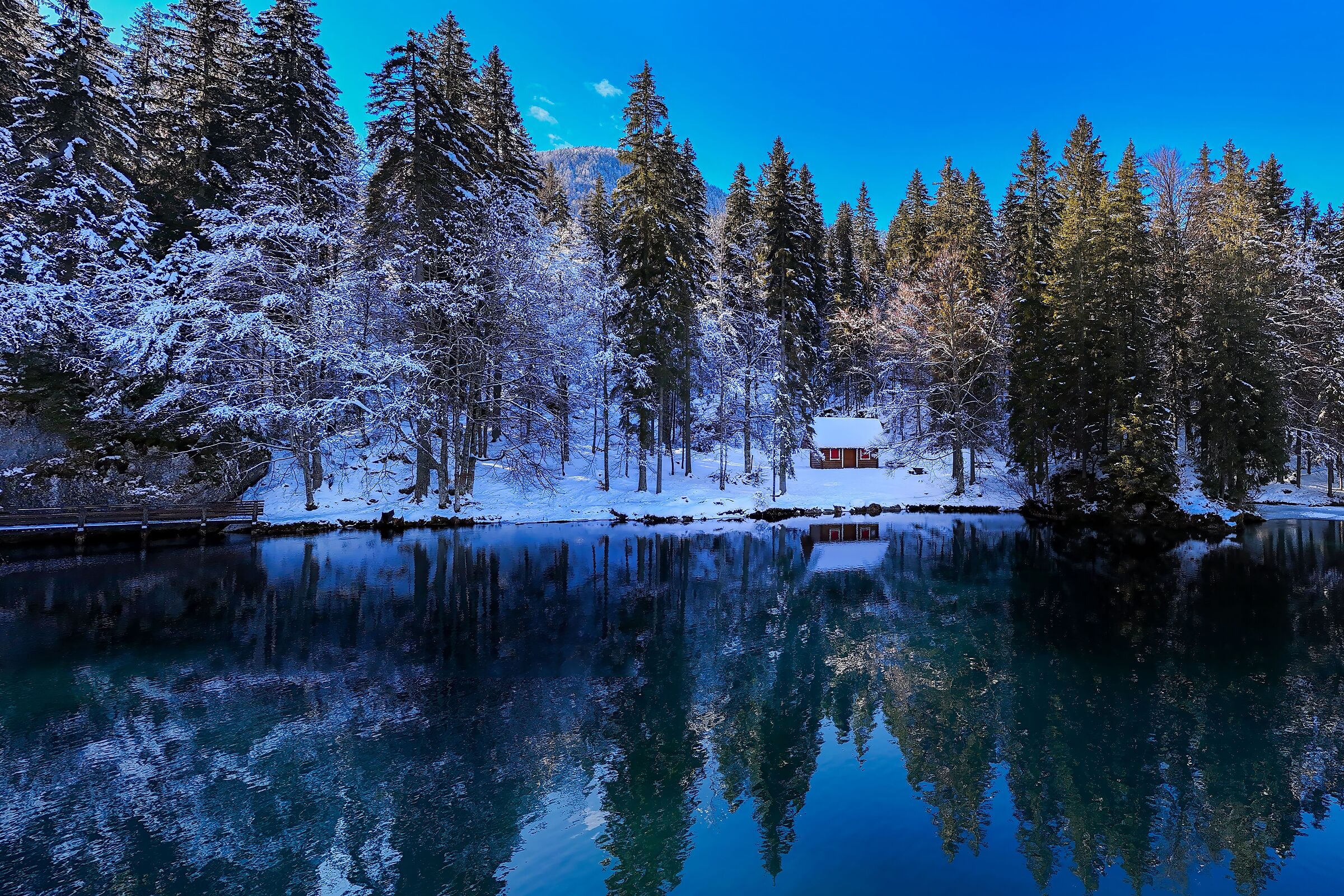 Winter by the Lake