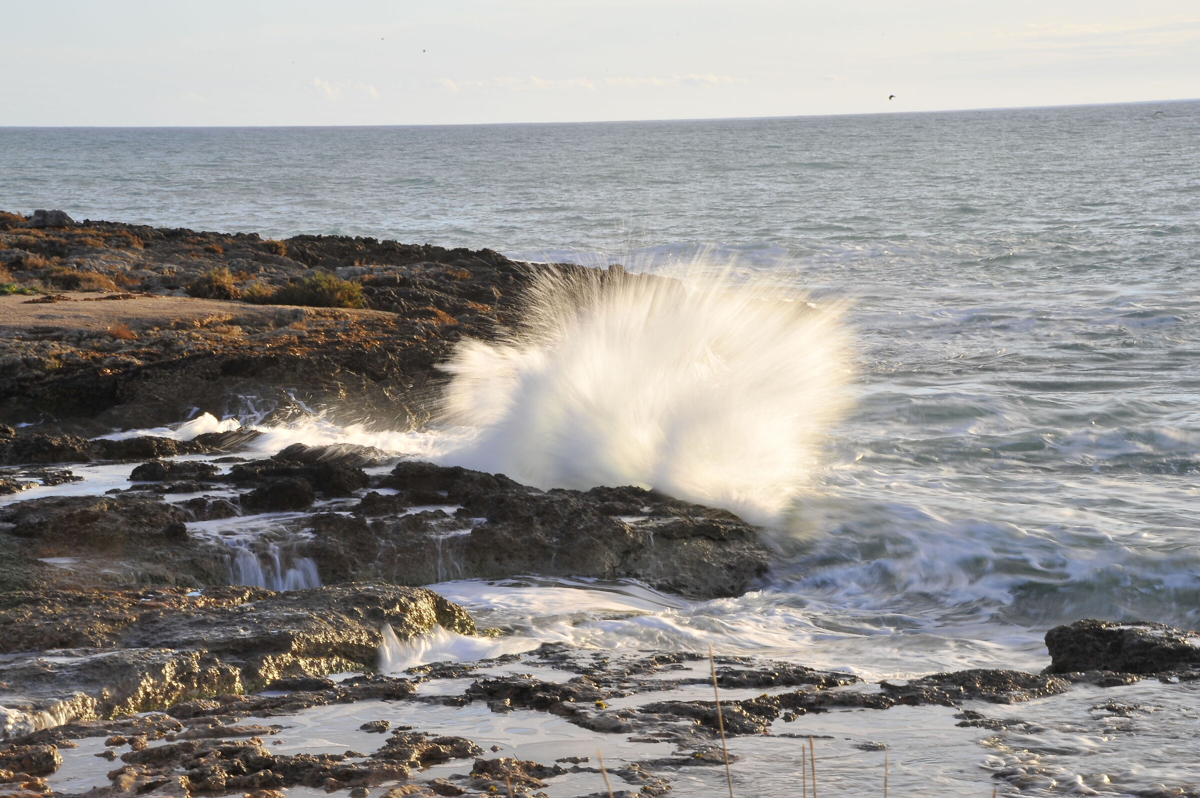 Splash #2