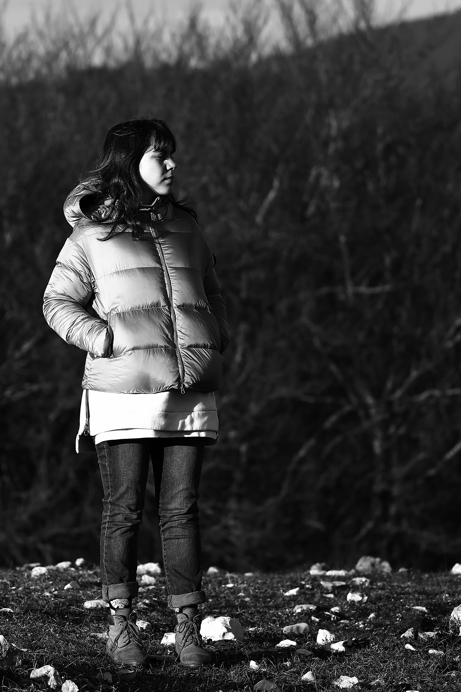 Untitled Photo