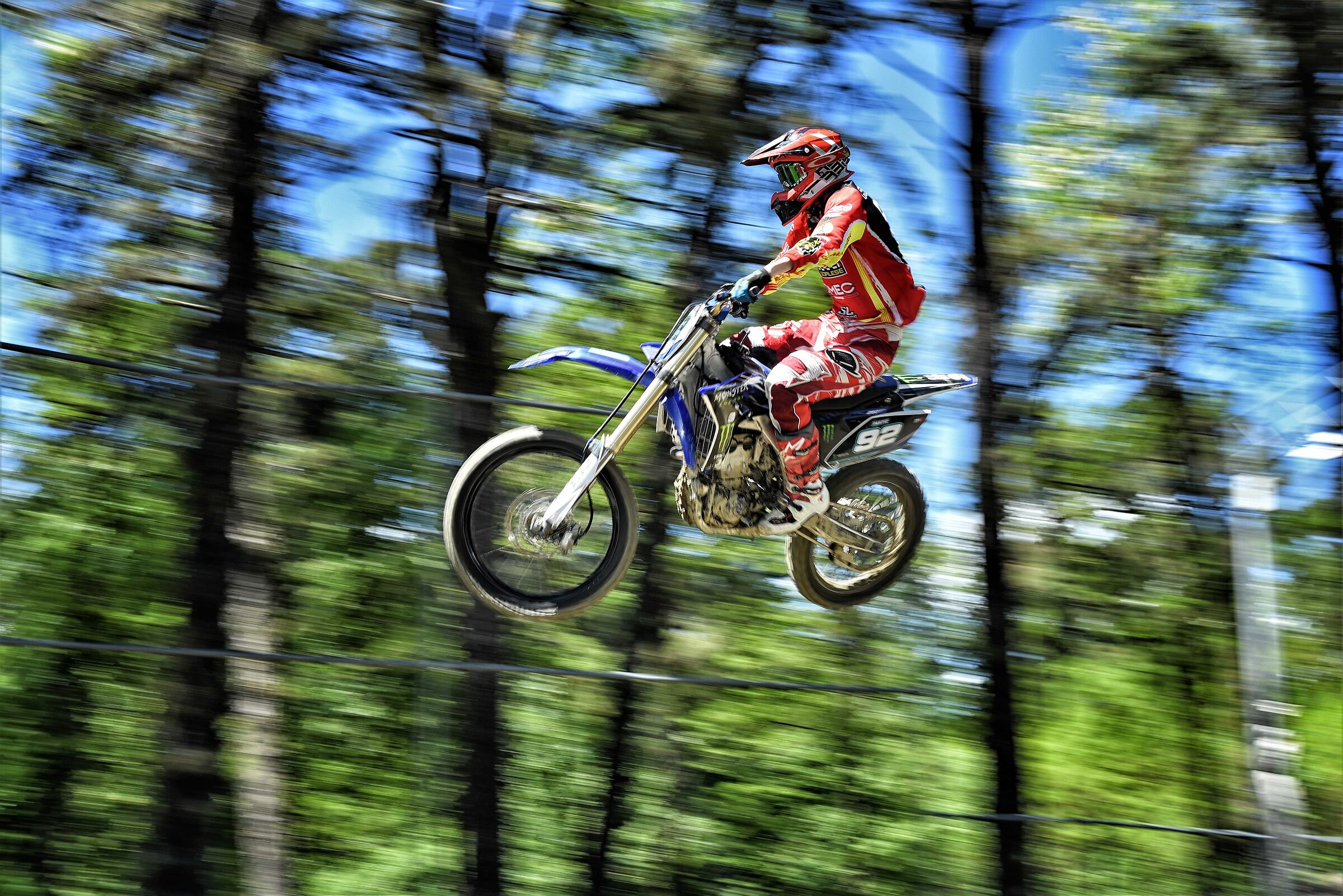 salto nel bosco