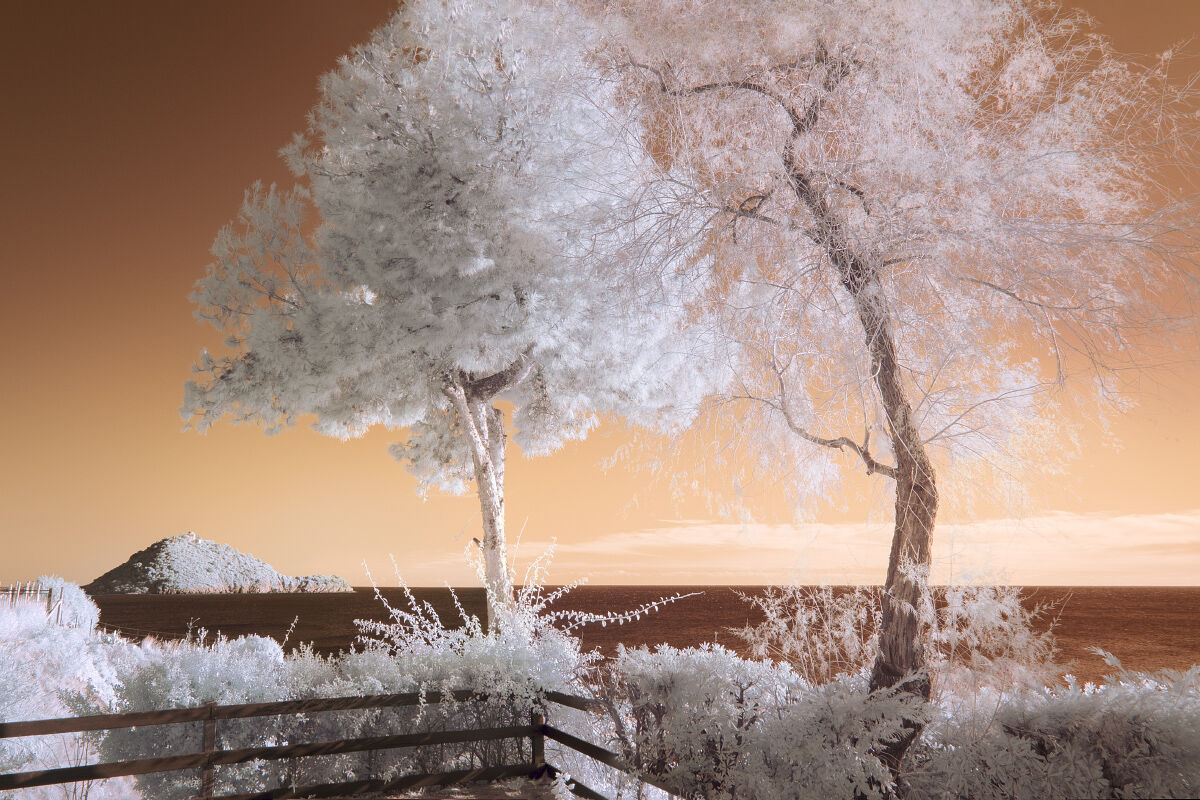 The edge of dreams 3