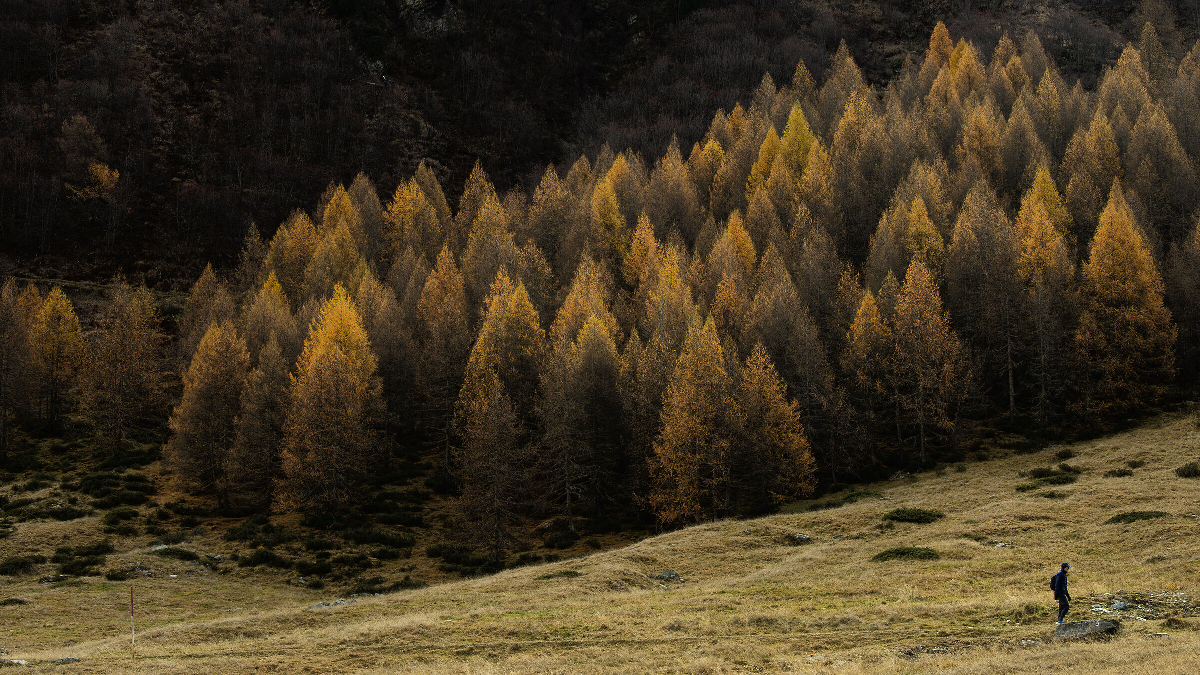Lake Sils, Island