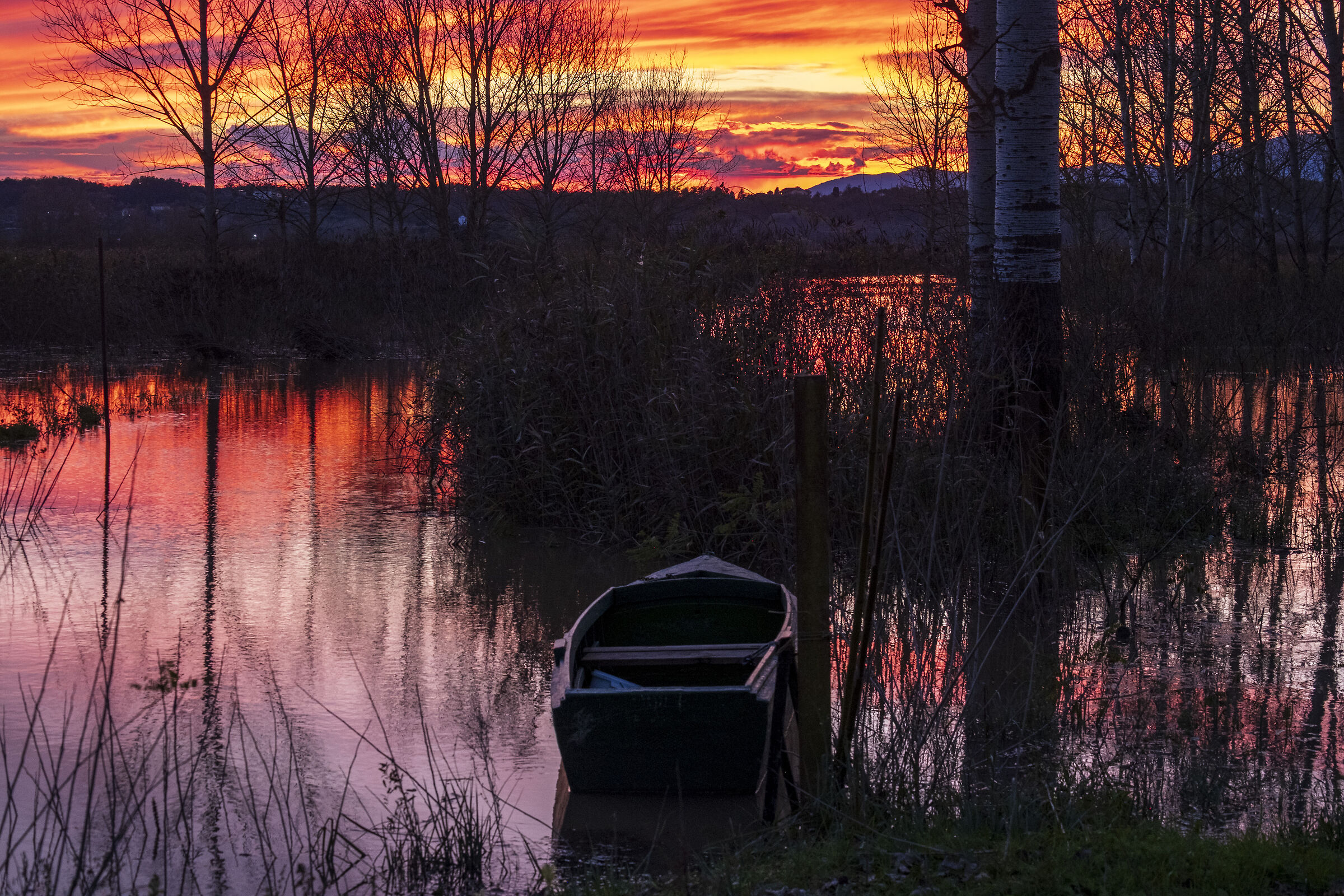 sunset at the Marshes