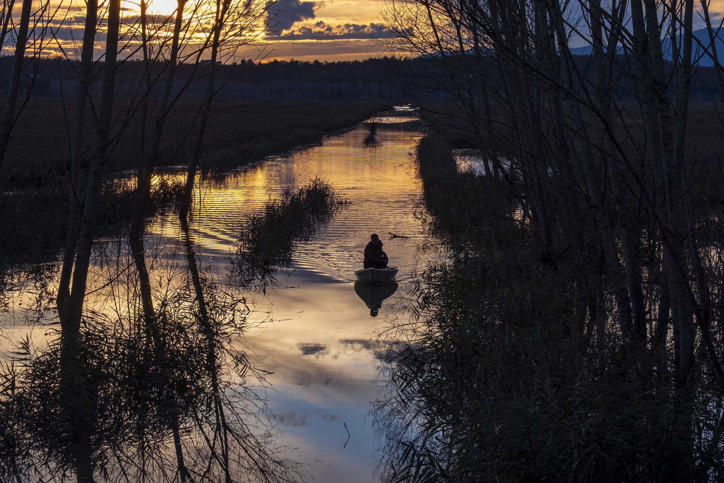 Fucecchio Marshes