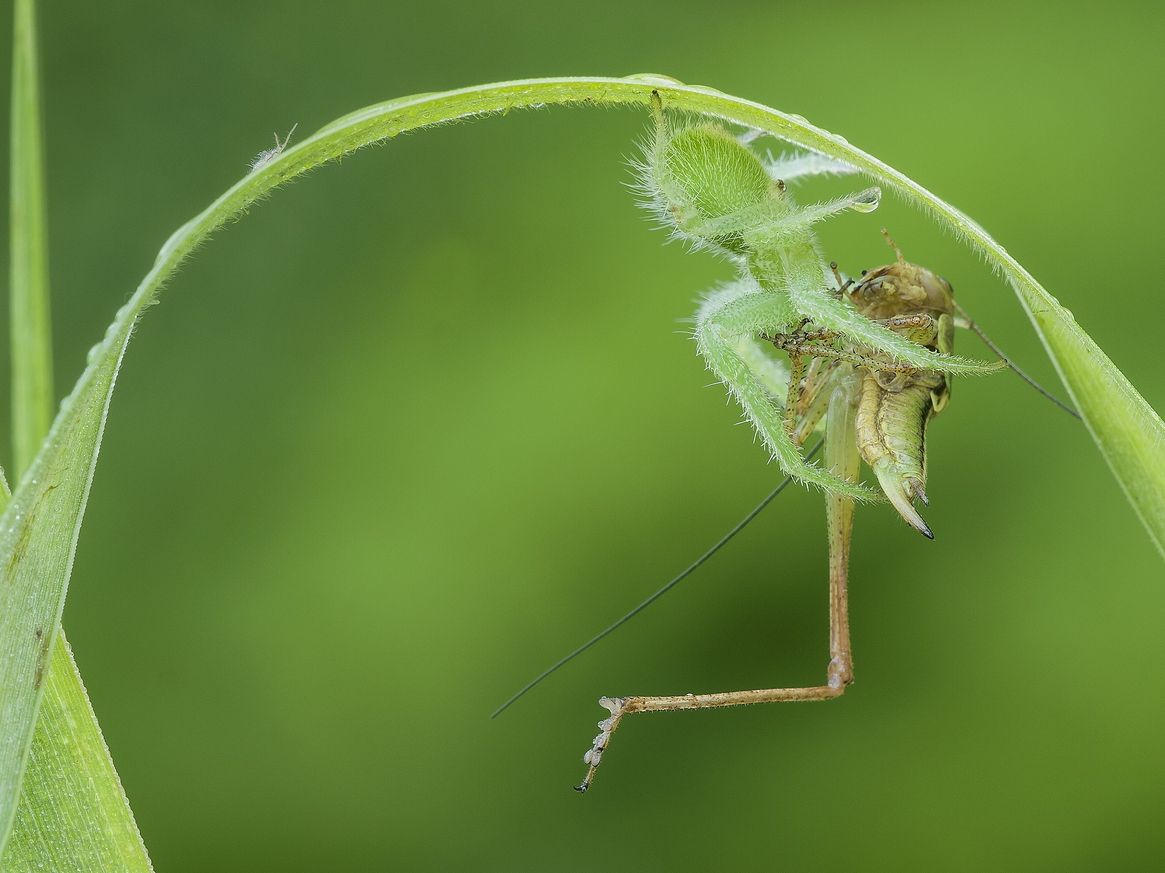 la legge della natura...