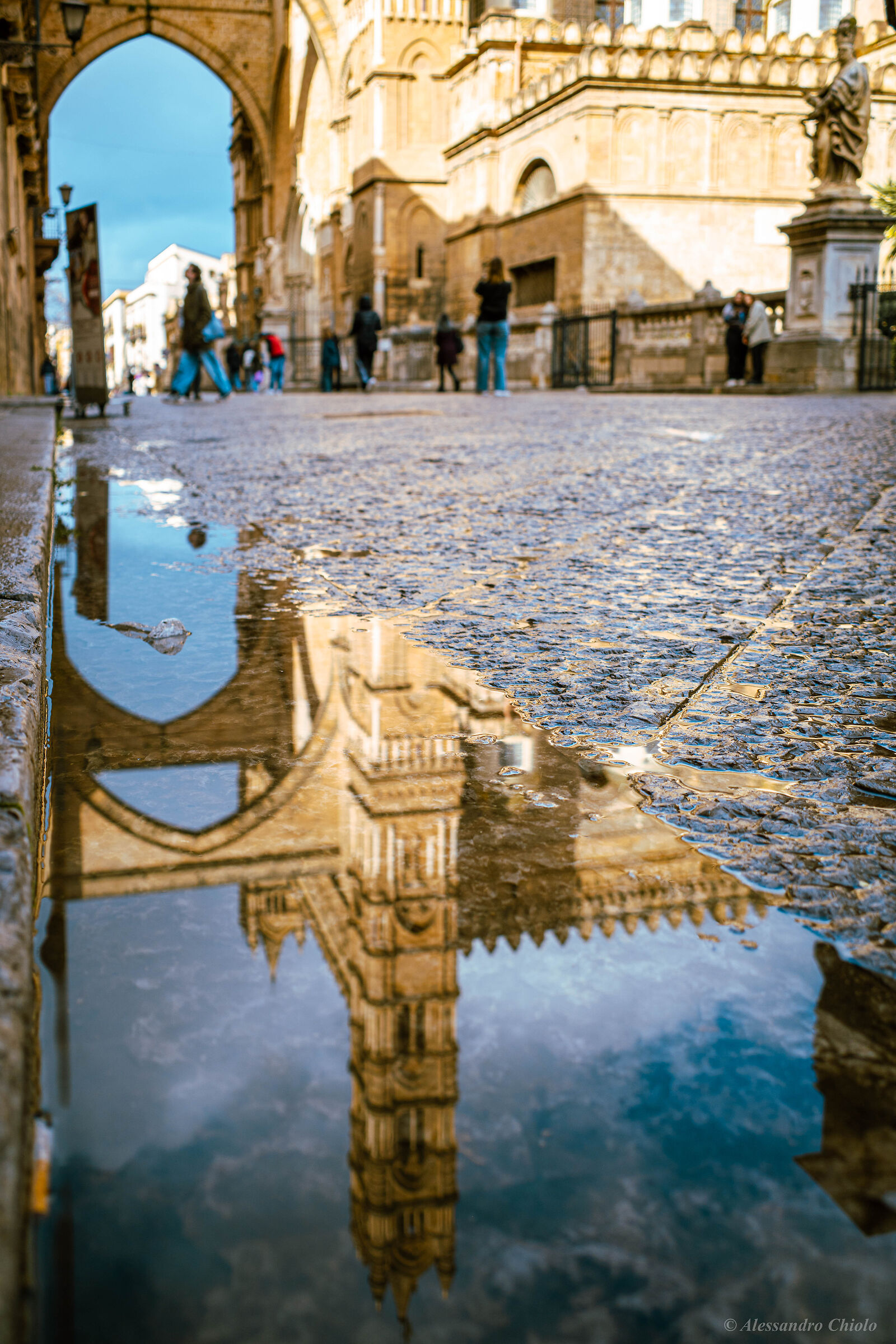 Cathedral Fragments