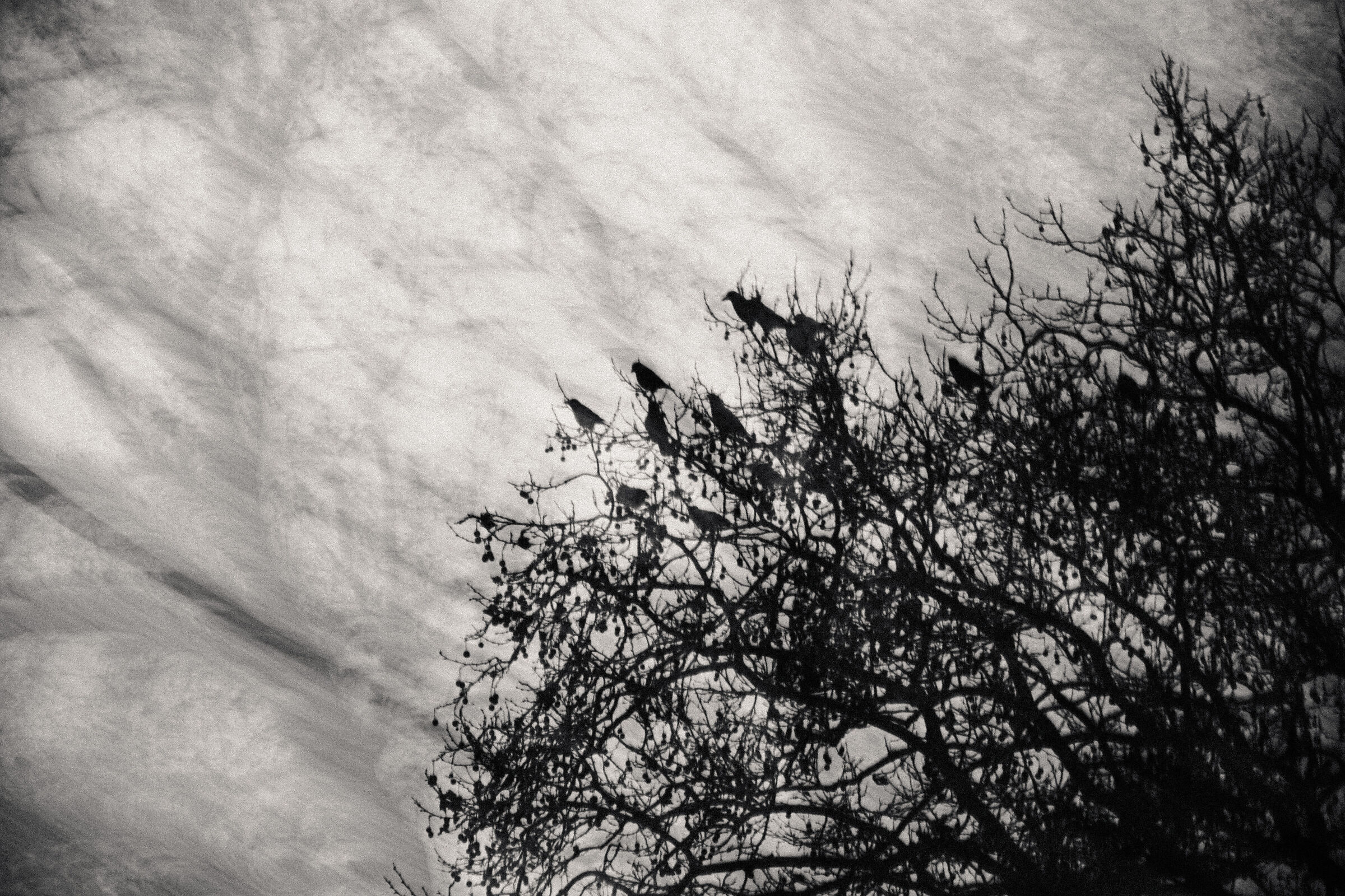 Stakeouts