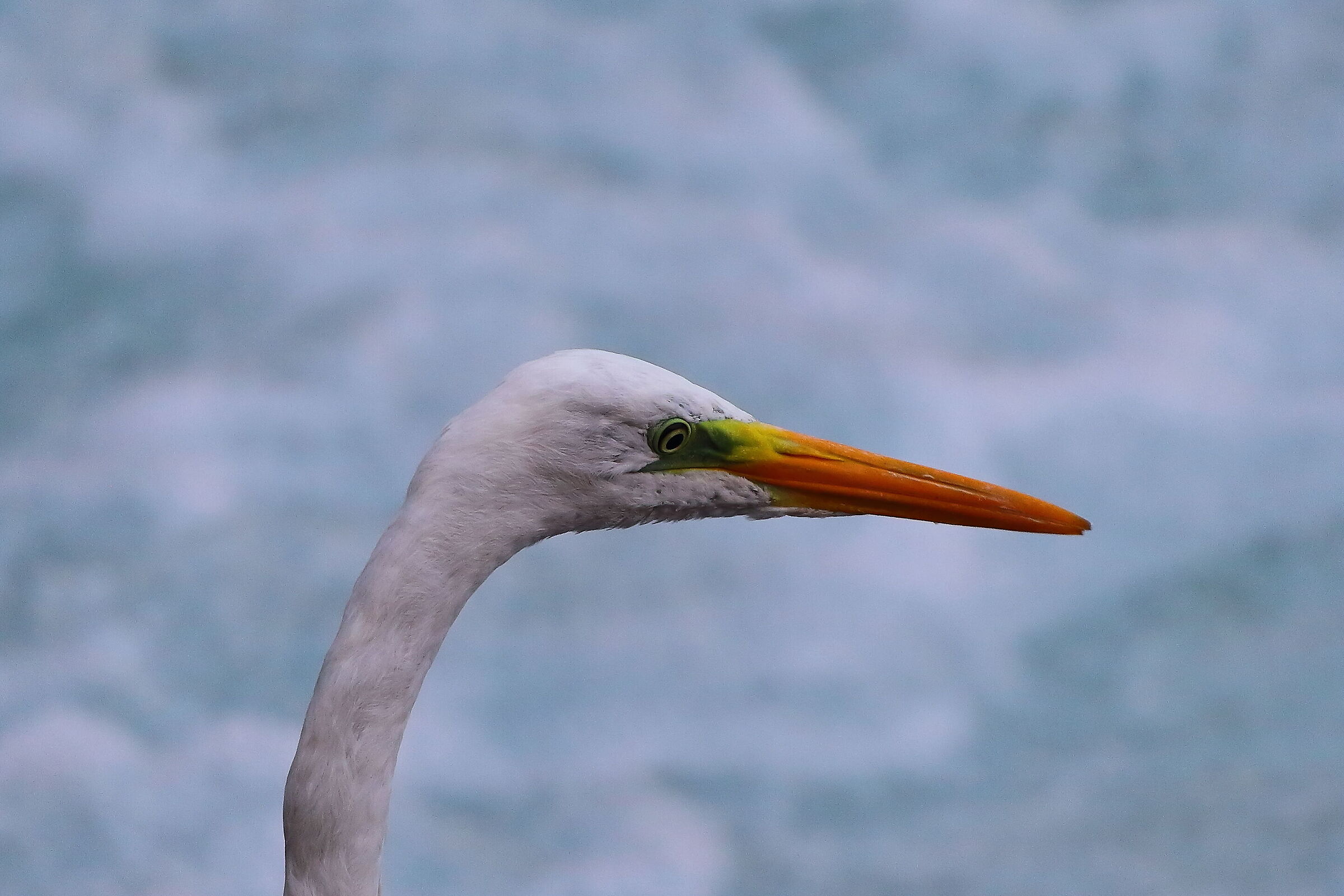 ABM 09 settembre 2025 - 0075