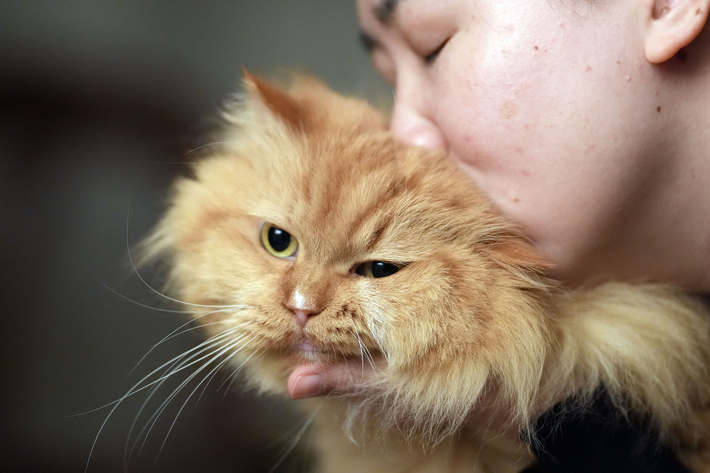 But enough with these pampering ;-))