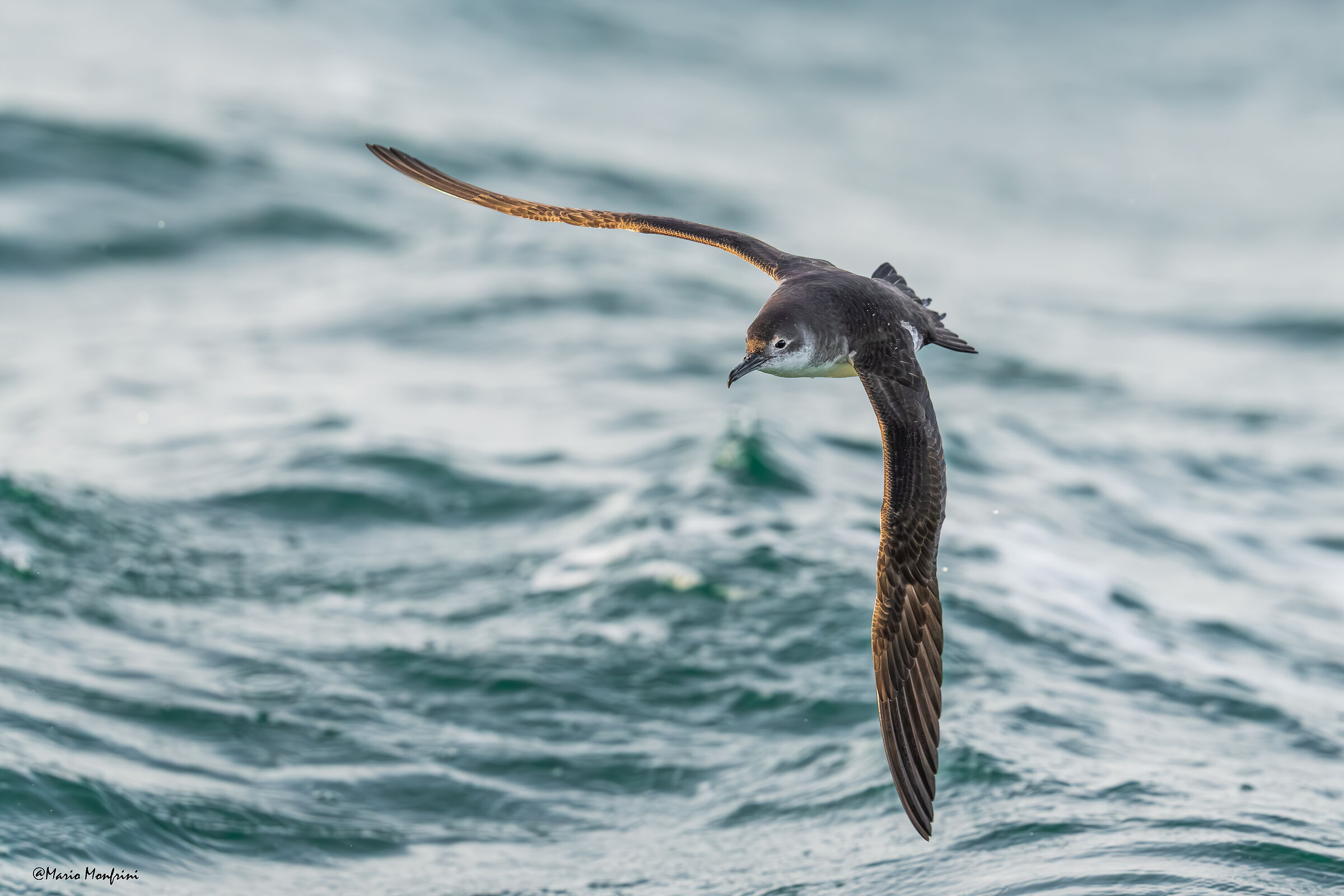 Caressing the waves