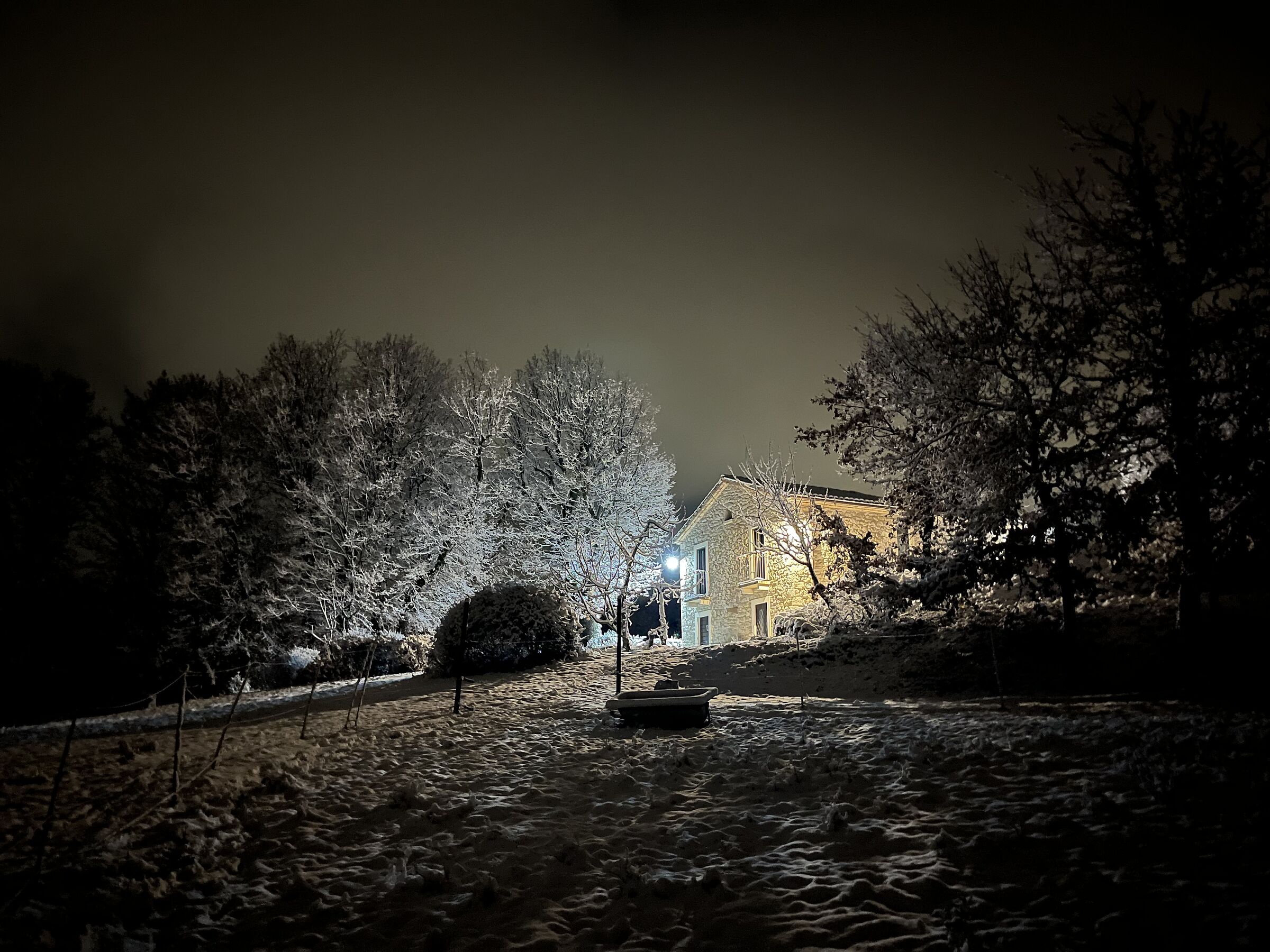 Untitled Photo