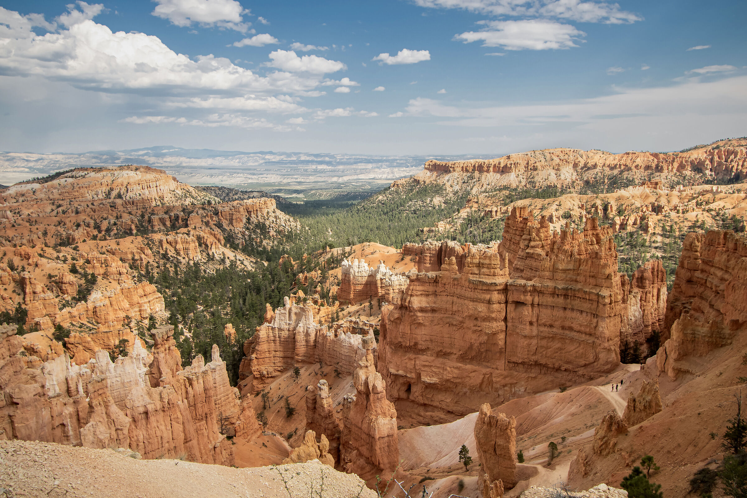 Bryce canyon
