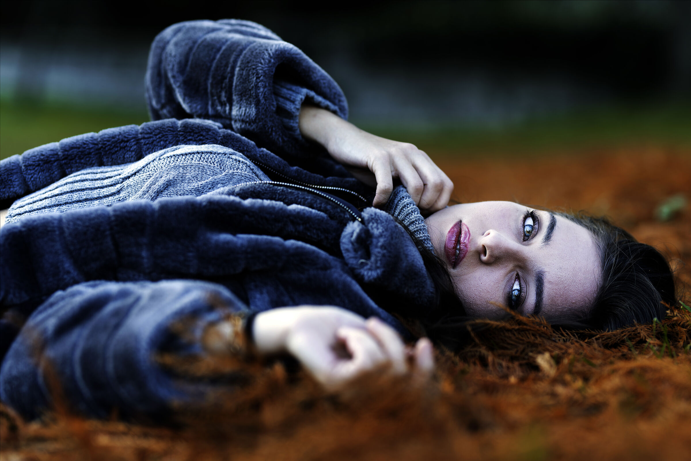 Untitled Photo