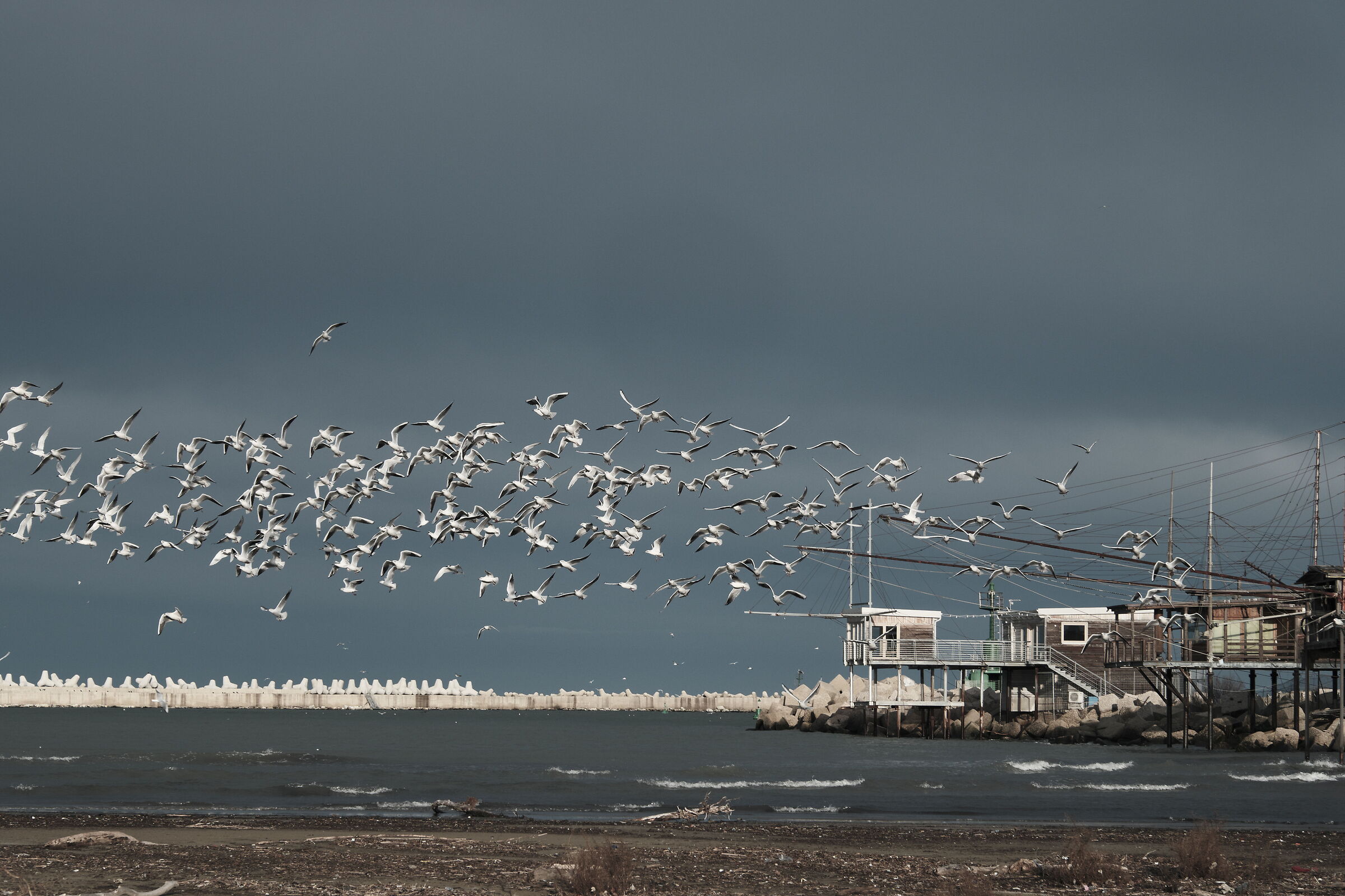 Gabbiani e Trabocchi