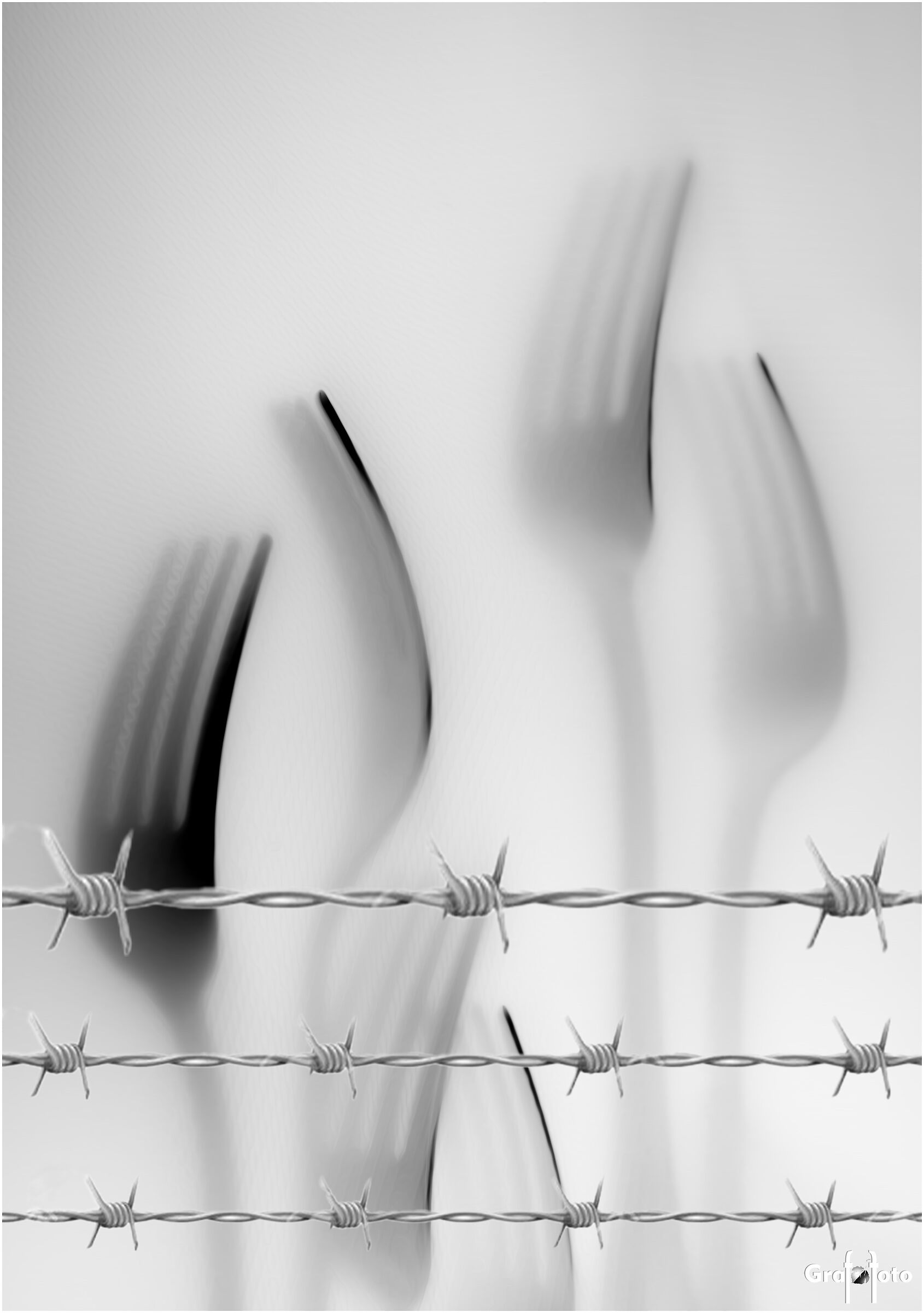 Il giorno della memoria