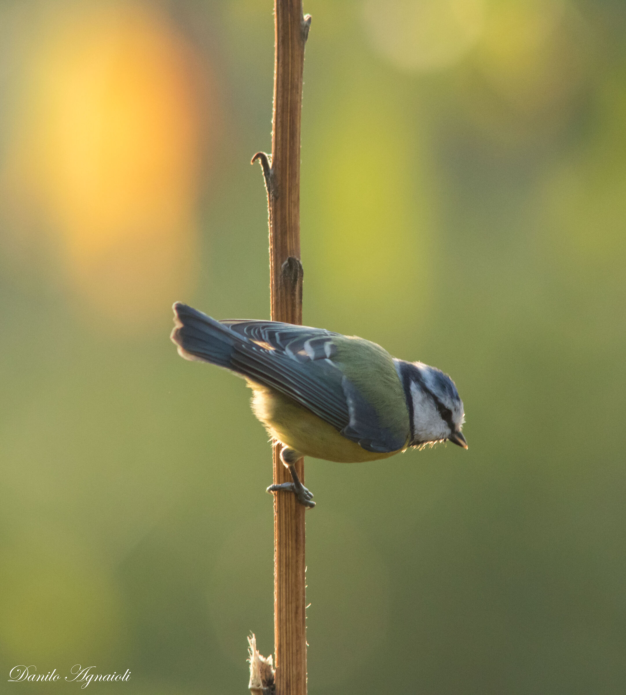 At dawn