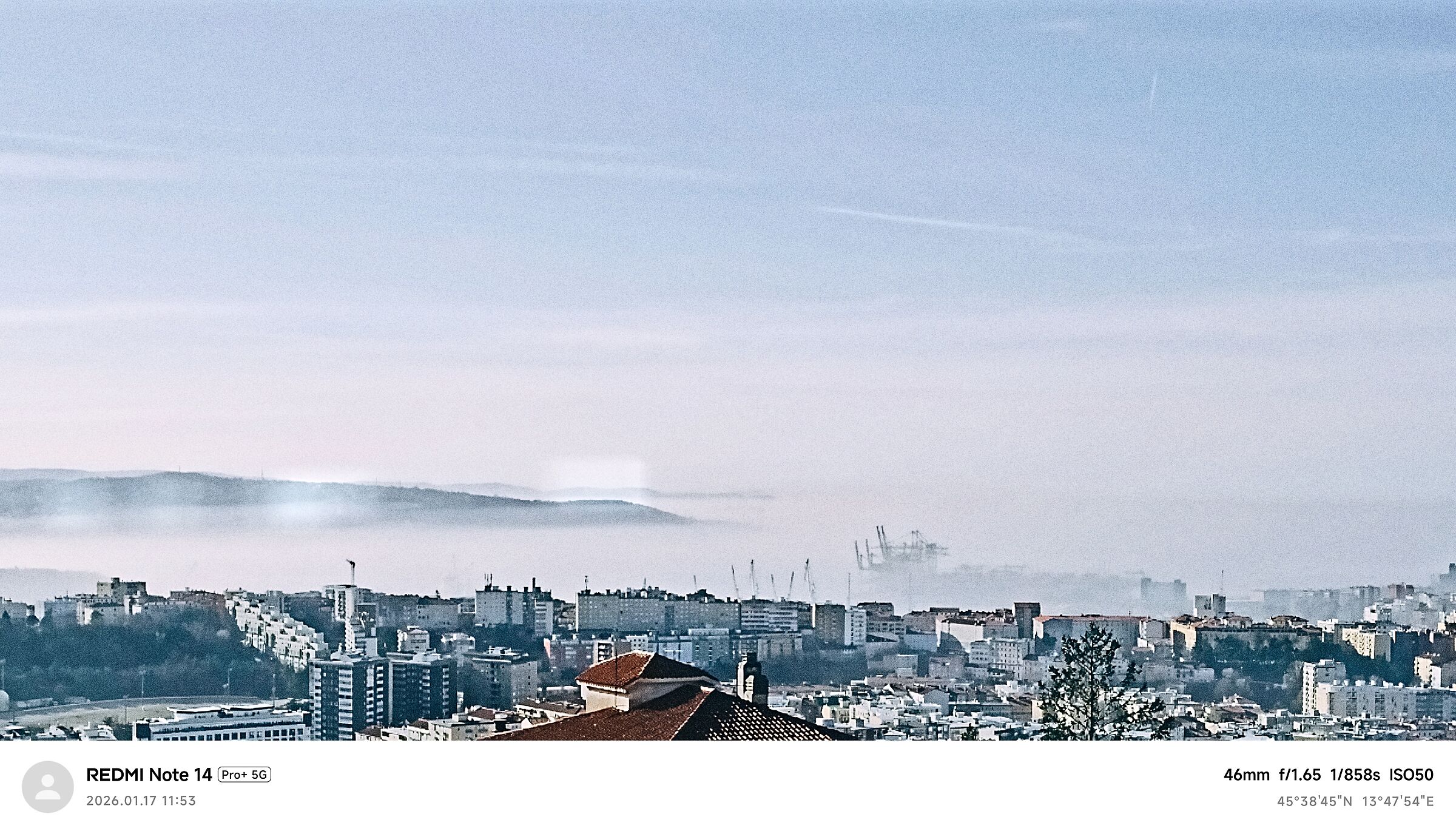 Fog