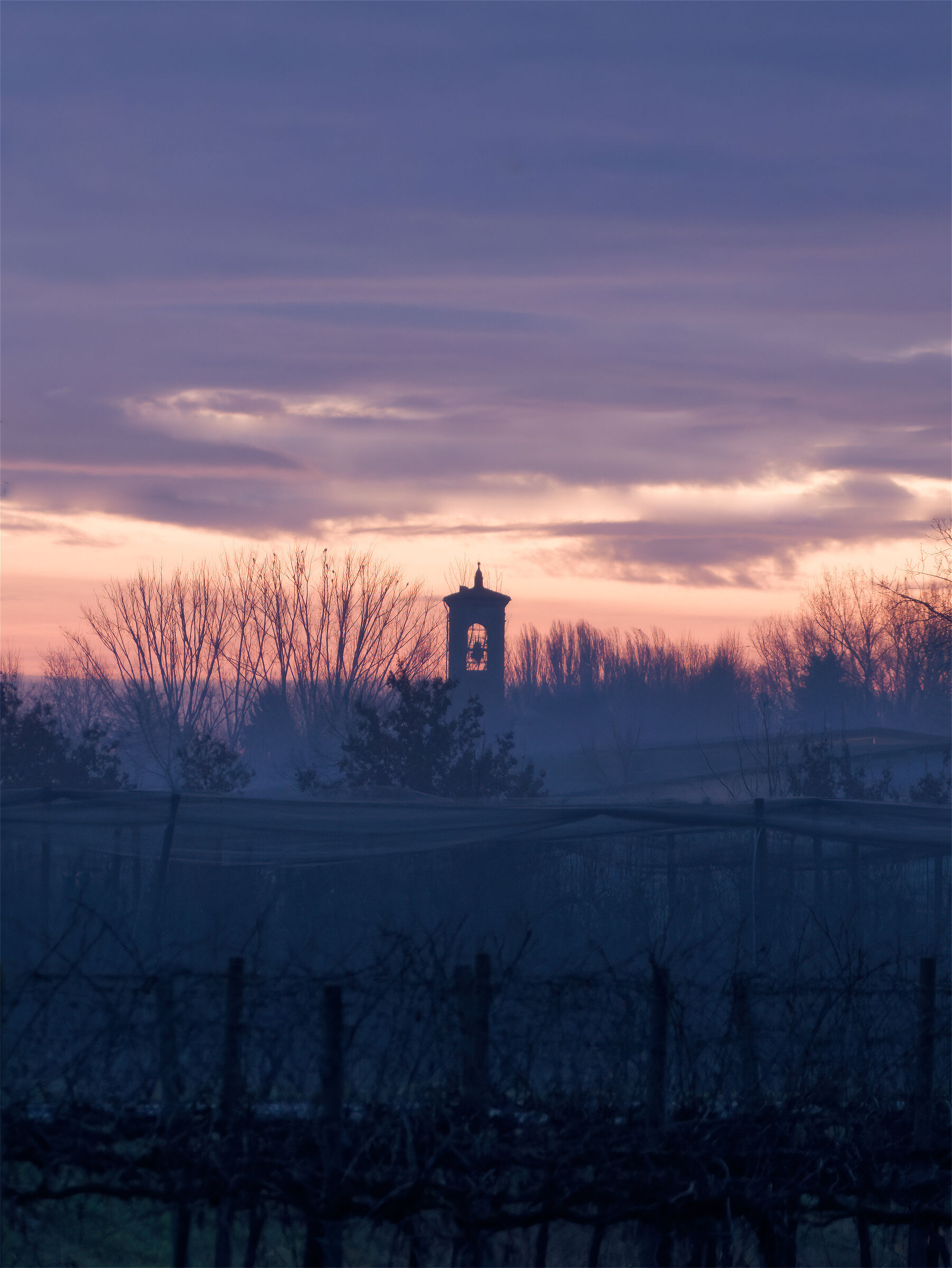 Untitled Photo