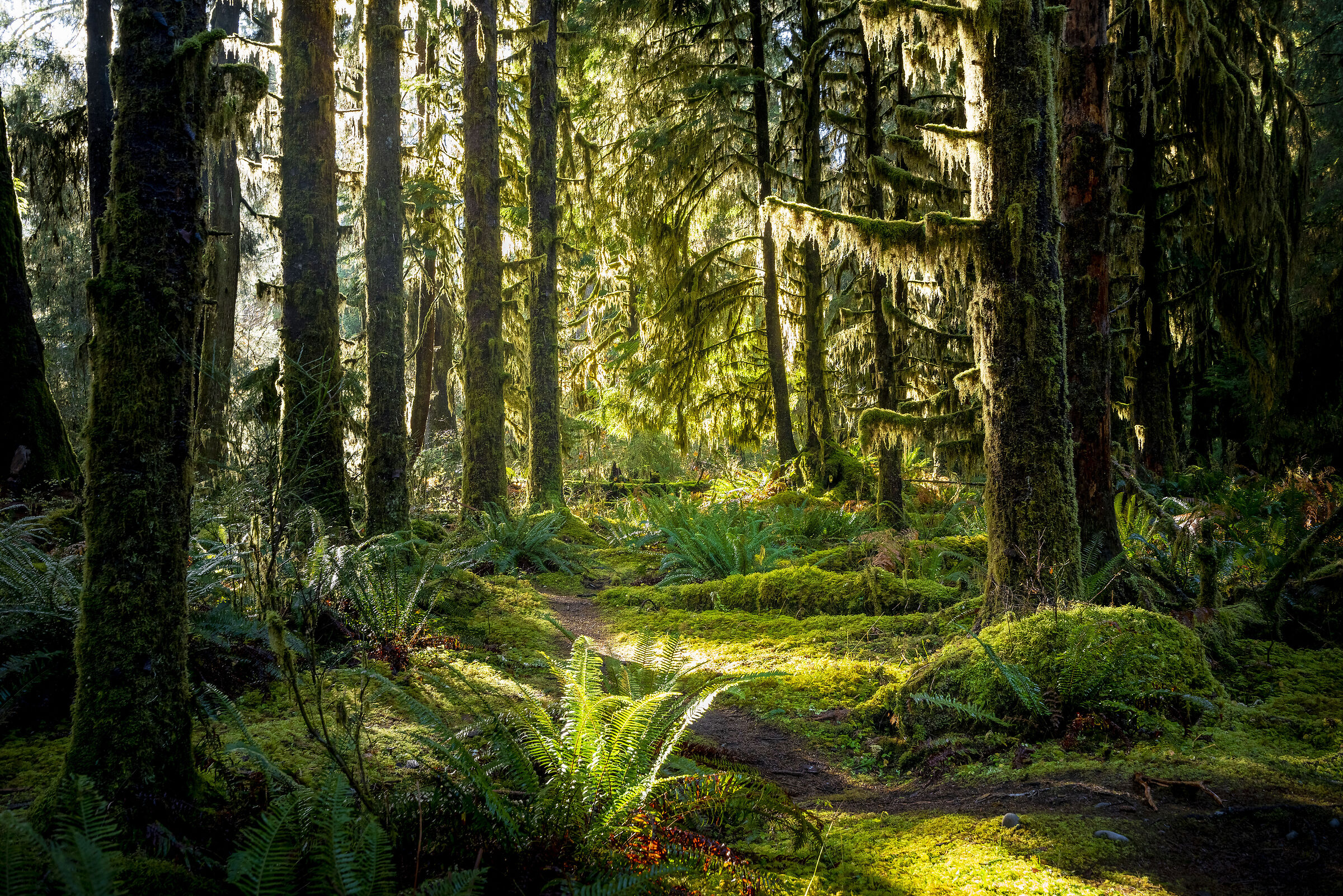 Olympic National Park