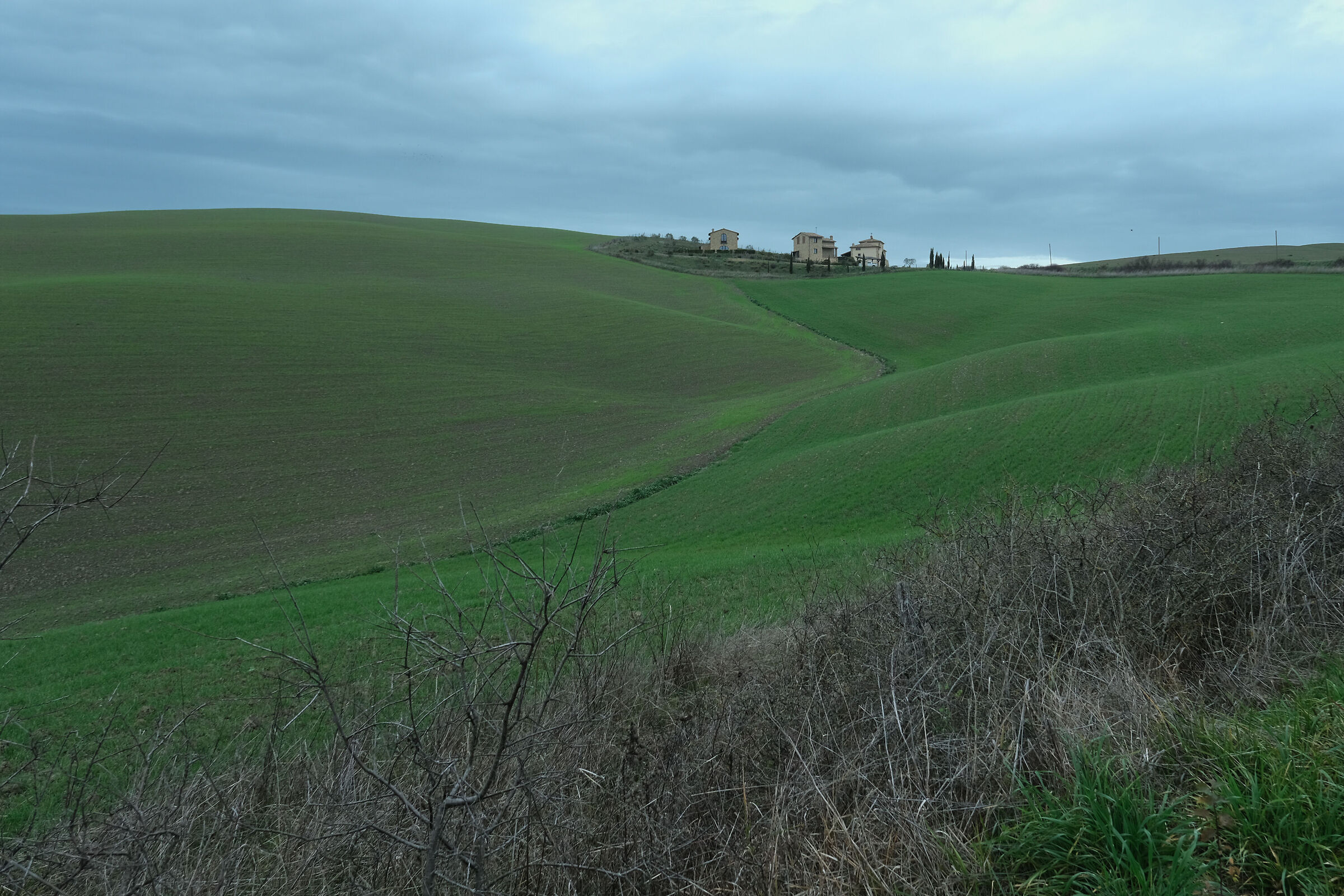 Crete di Volterra on January 07
