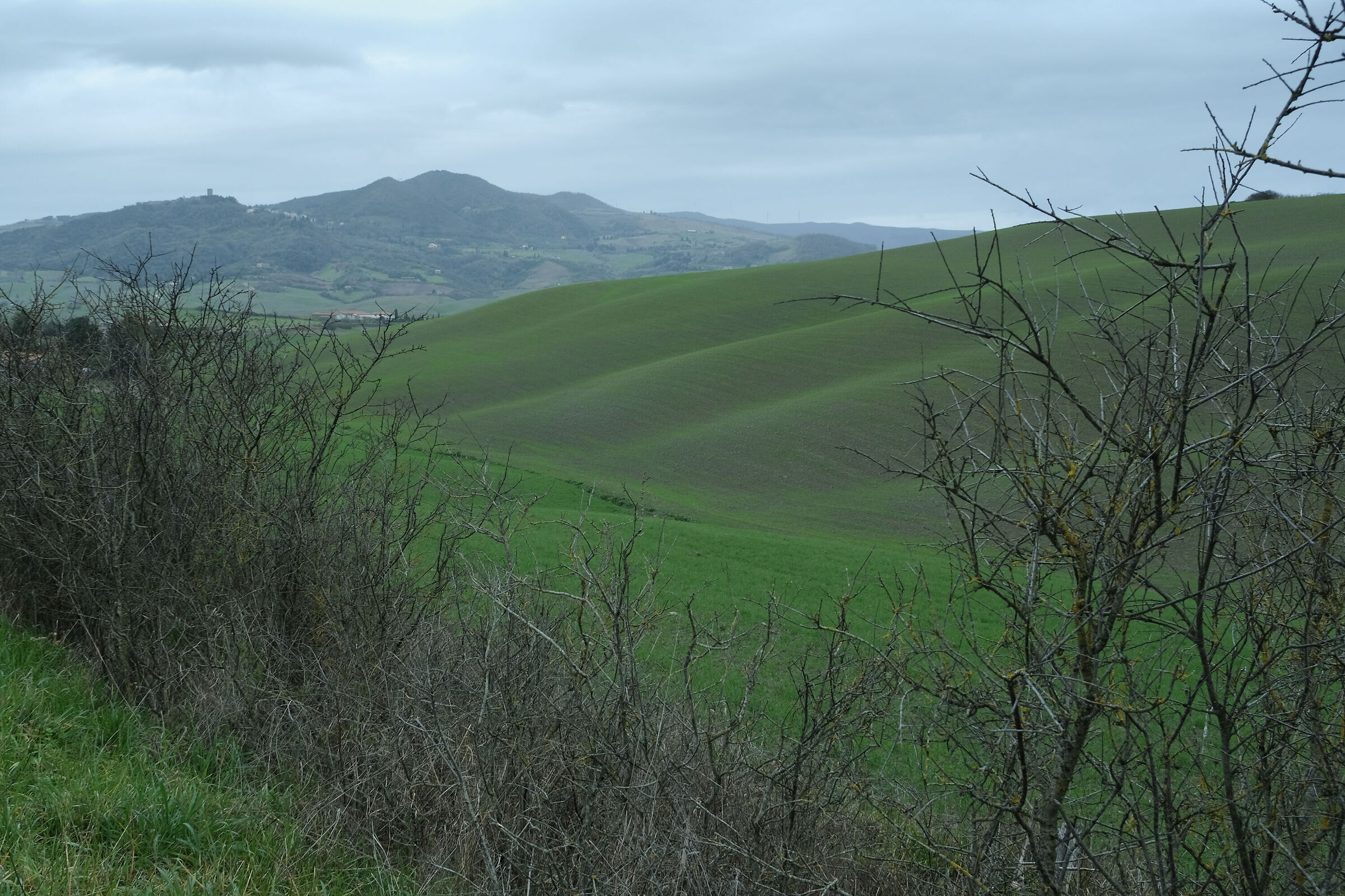Crete di Volterra in January 08
