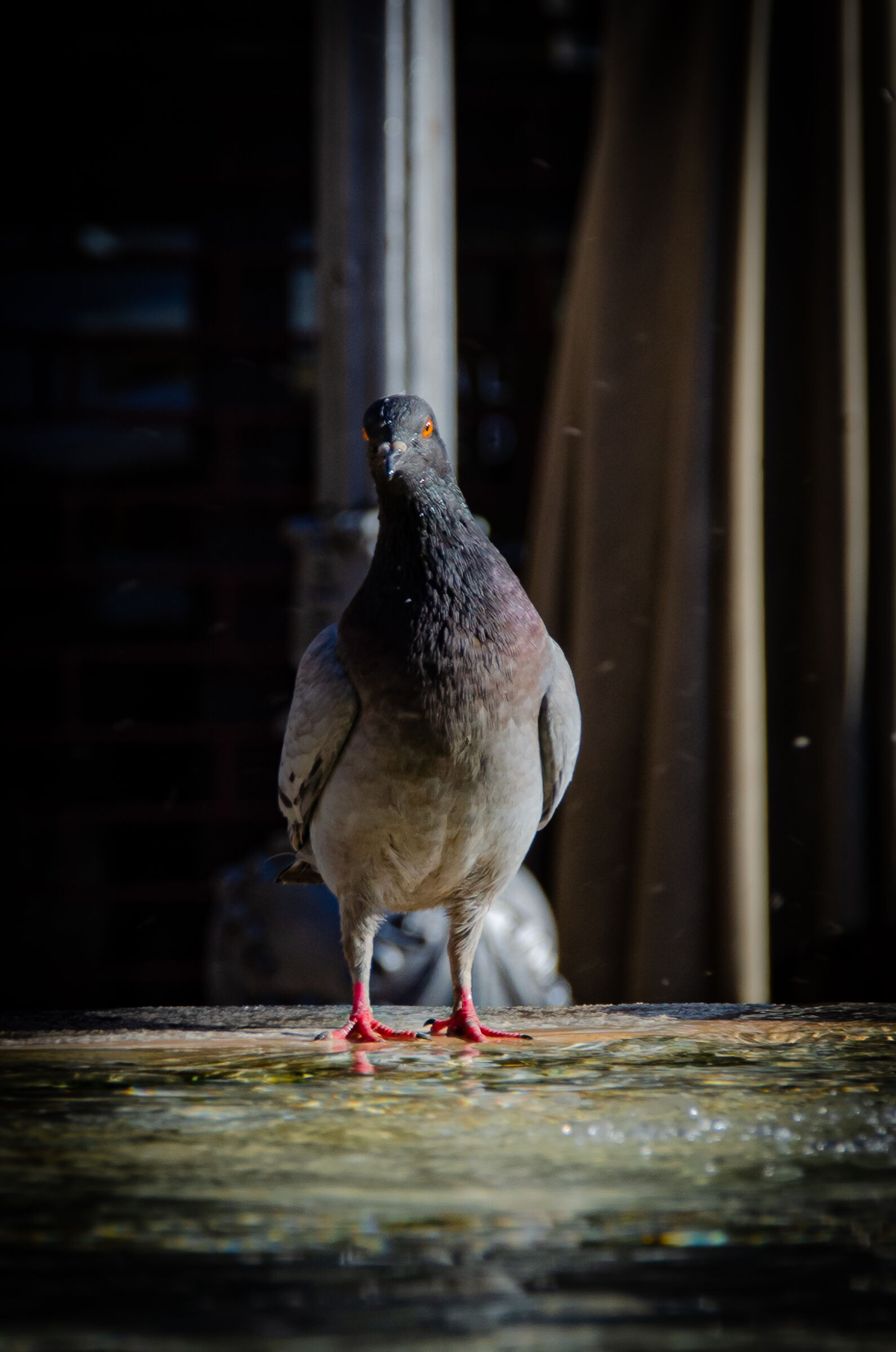 Hey you say to me..... Are you talking to me?