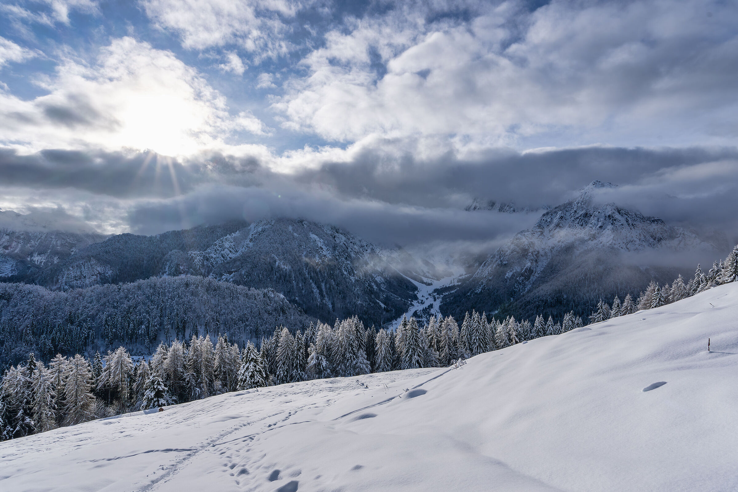 After the snowfall going up to Malga Glazzat, Carnic Alps