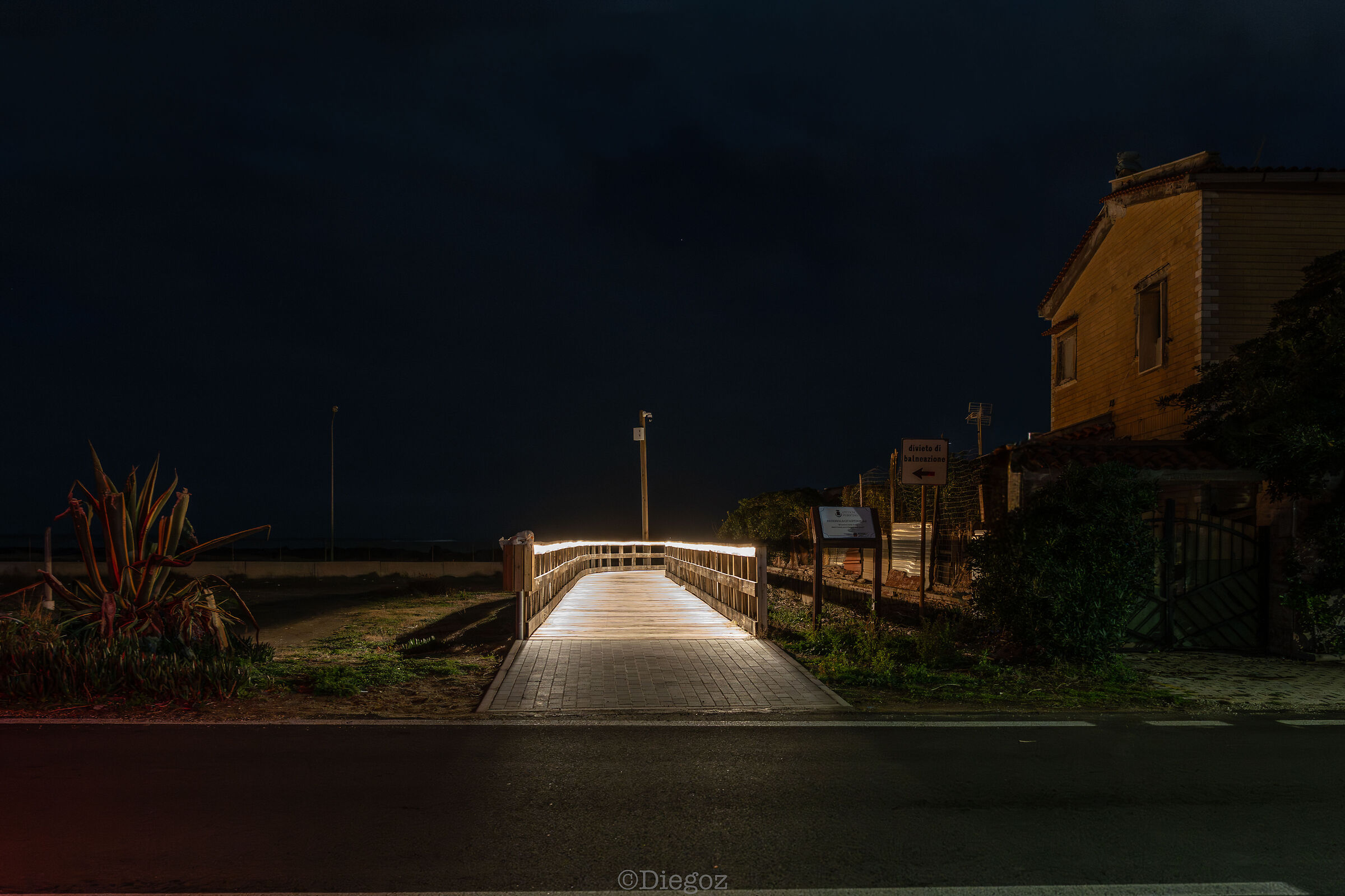 Untitled Photo