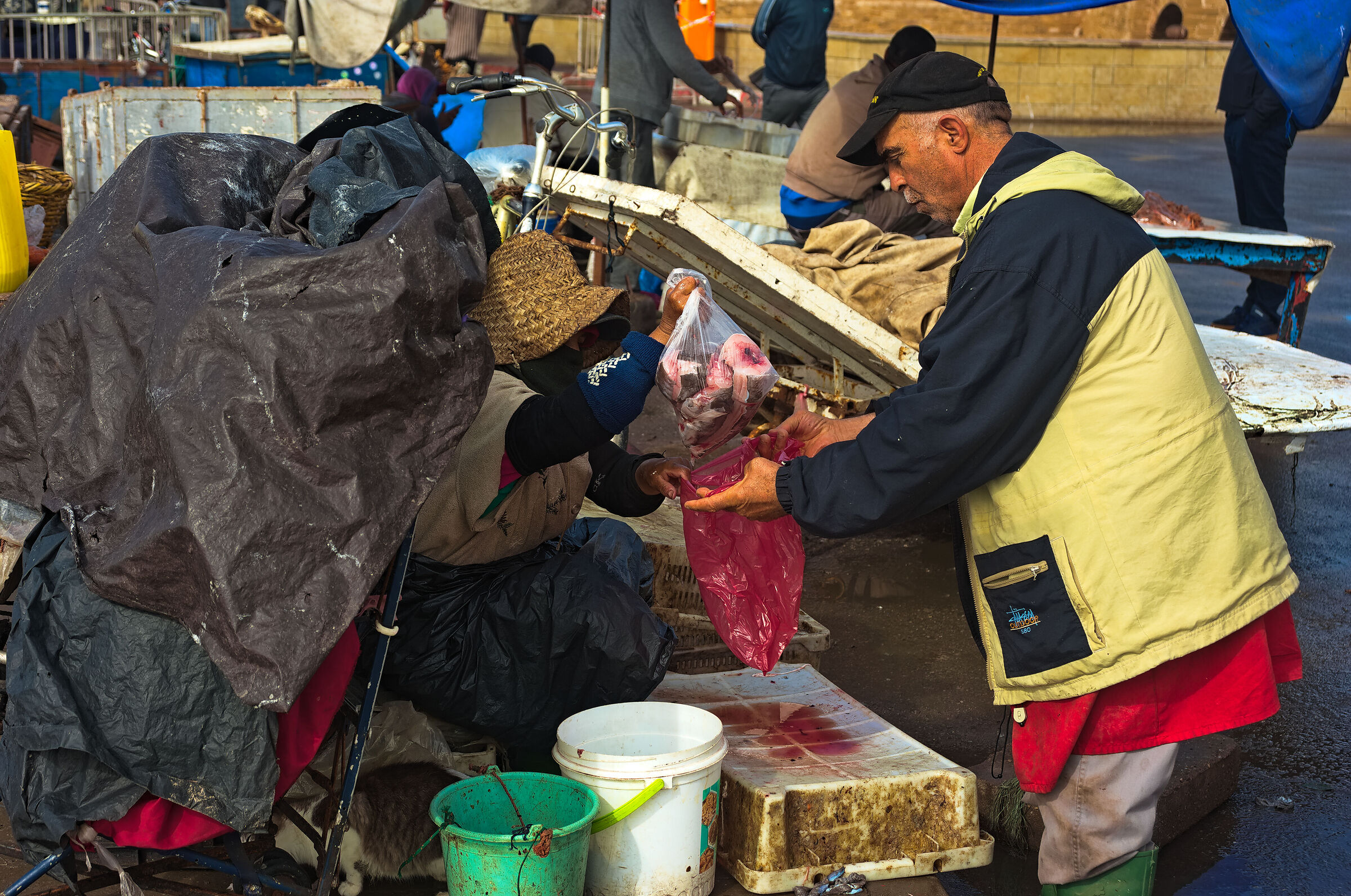 Contrattazioni al mercato del pesce