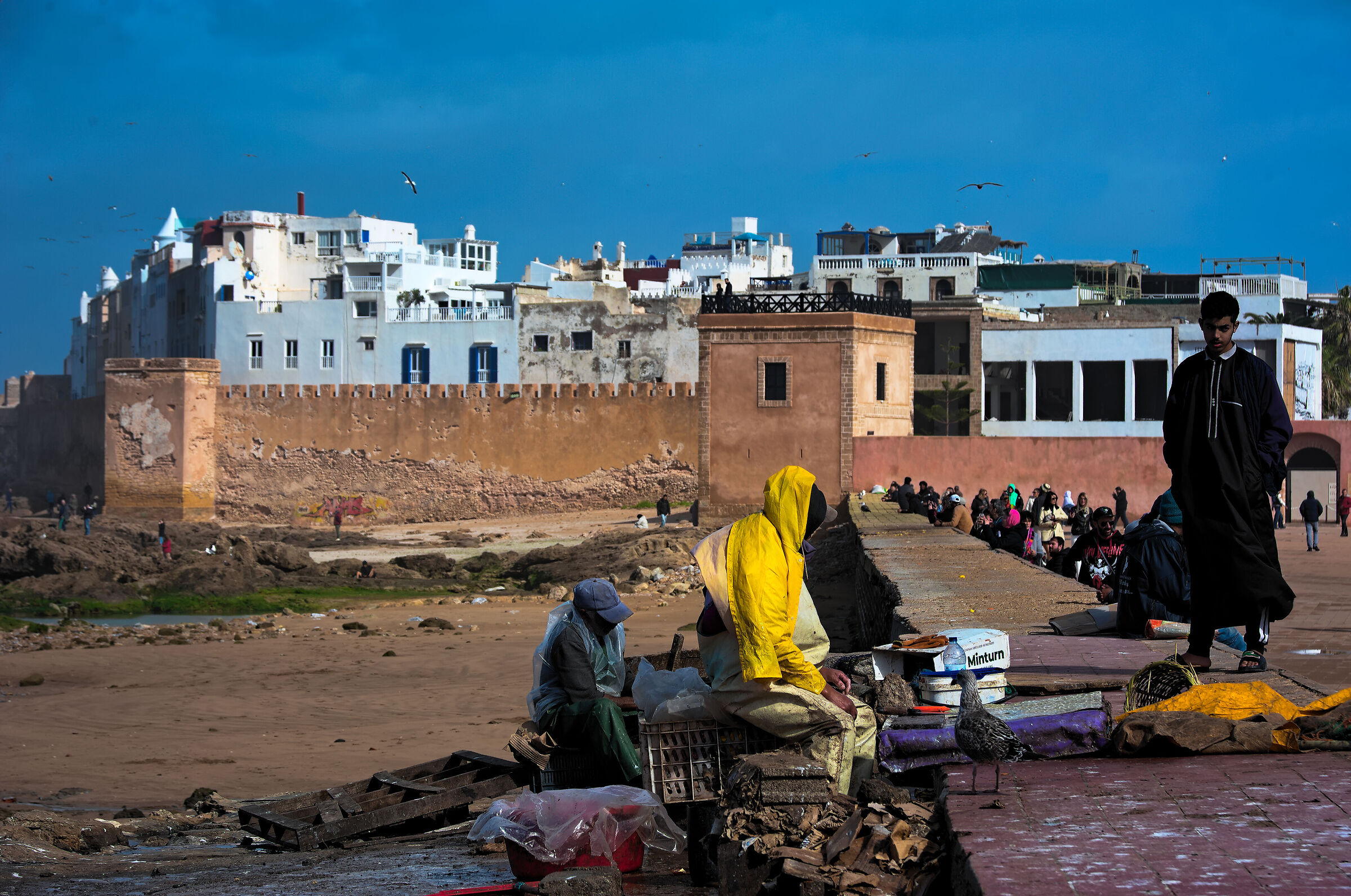 Pescatori a Essaouira