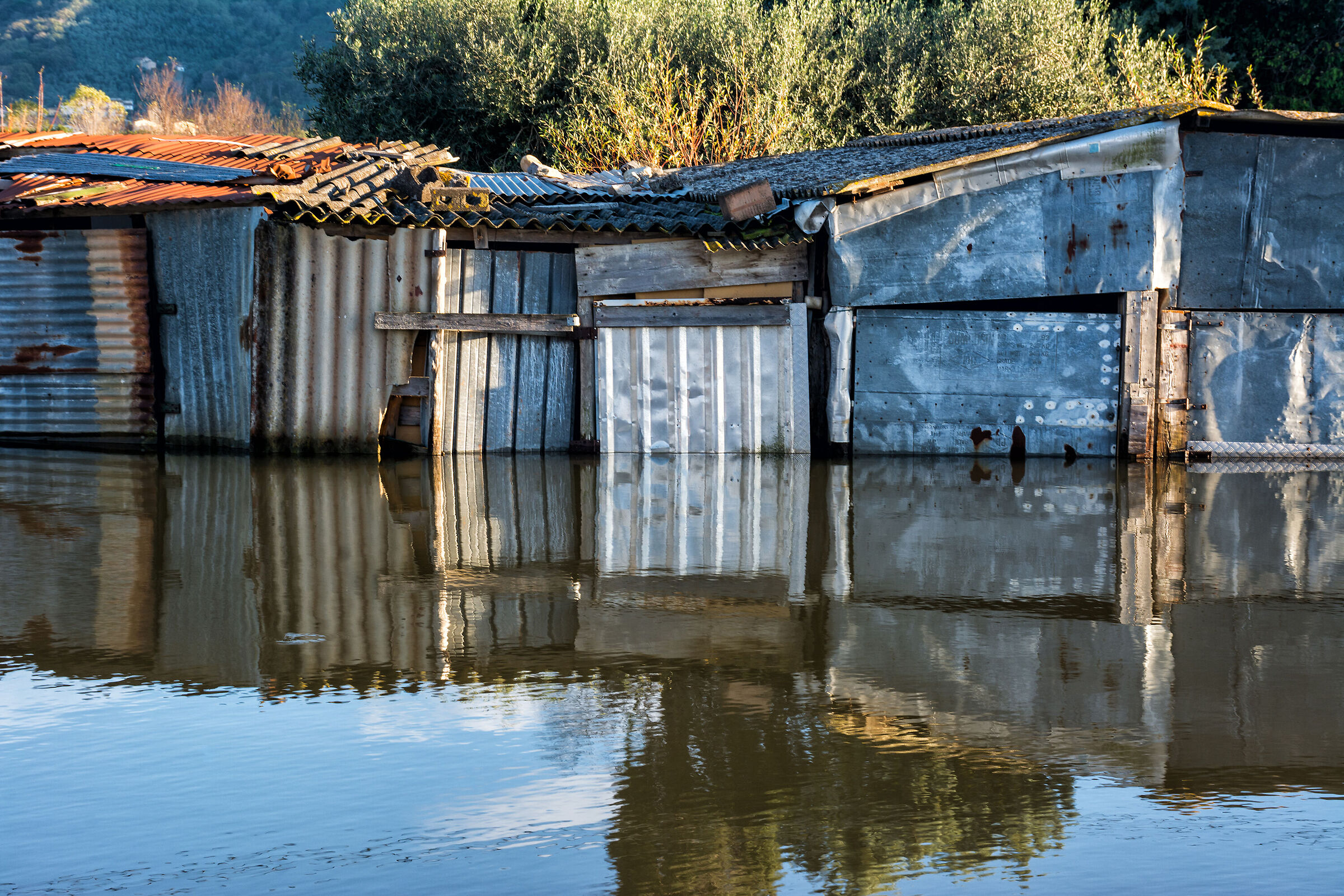 Abandonment on the lake