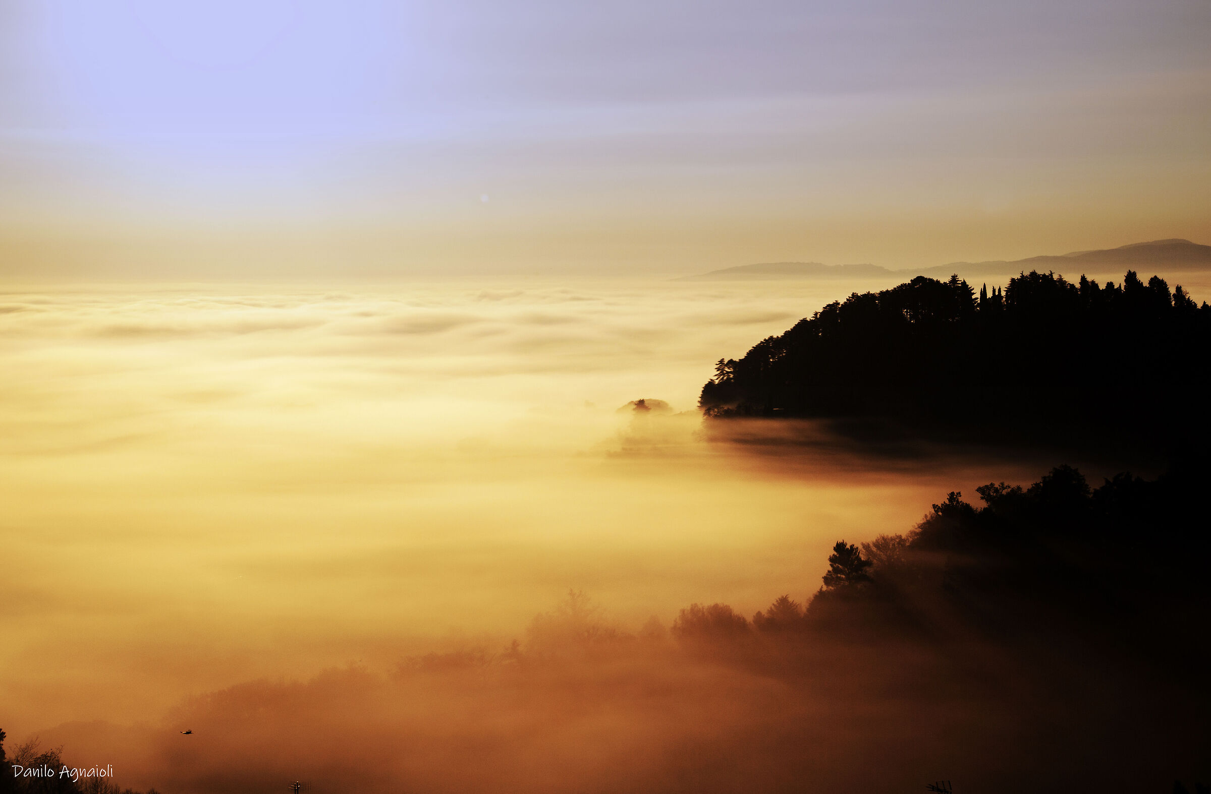 Altra nebbia, un altro silenzio.
