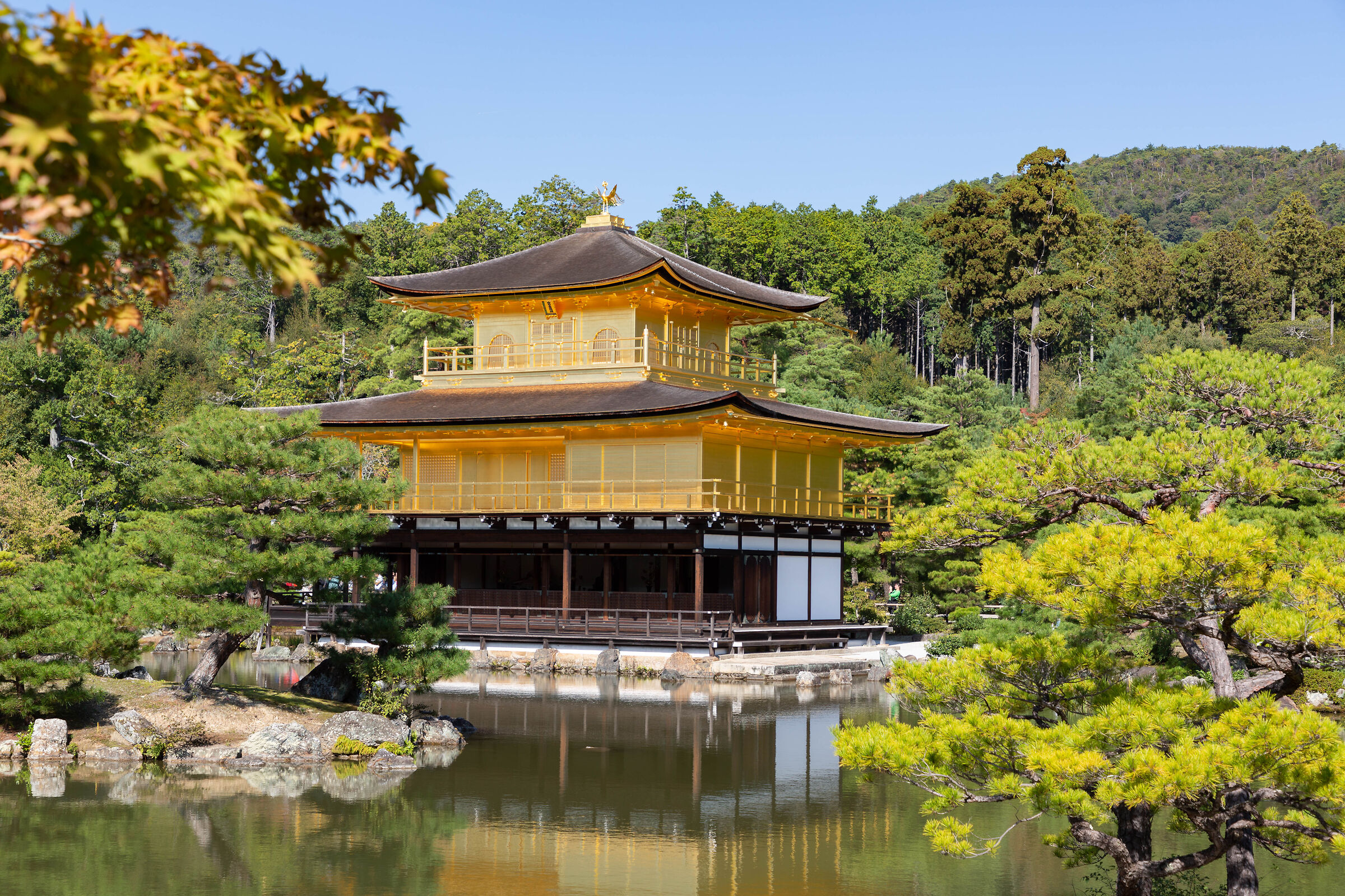 His majesty... Kinkaku-Ji.