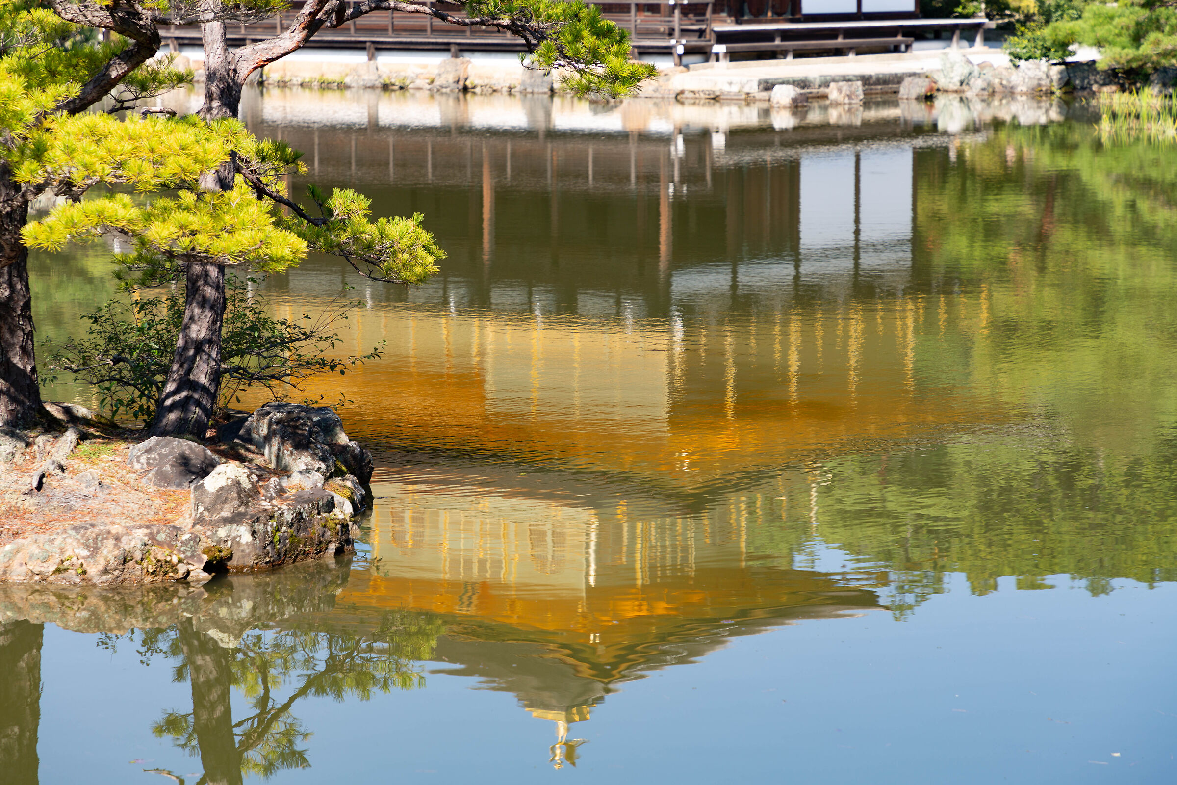 Kinkaku-ji Reflection