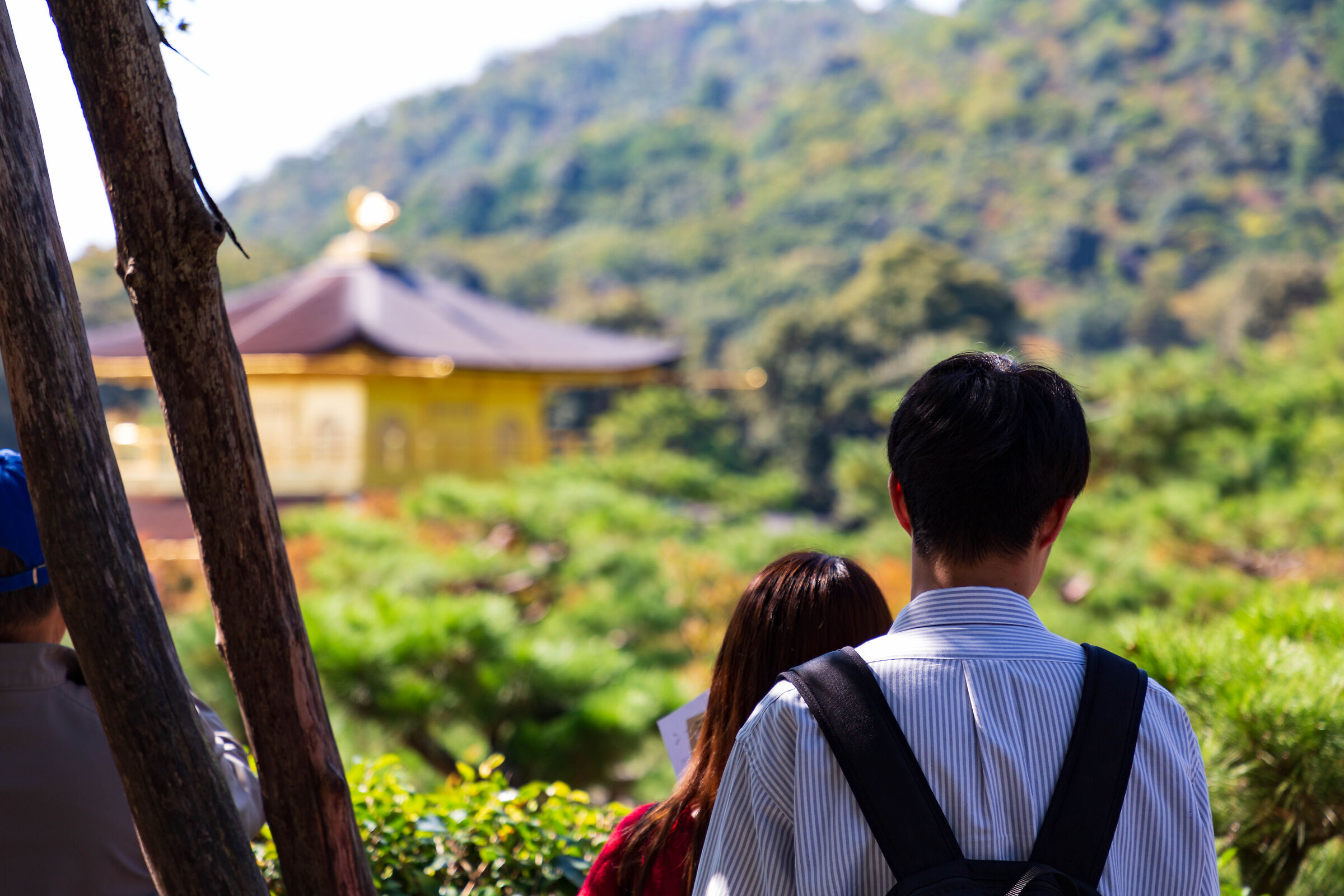 "Honey, here they say Kinkaku-Ji is....."