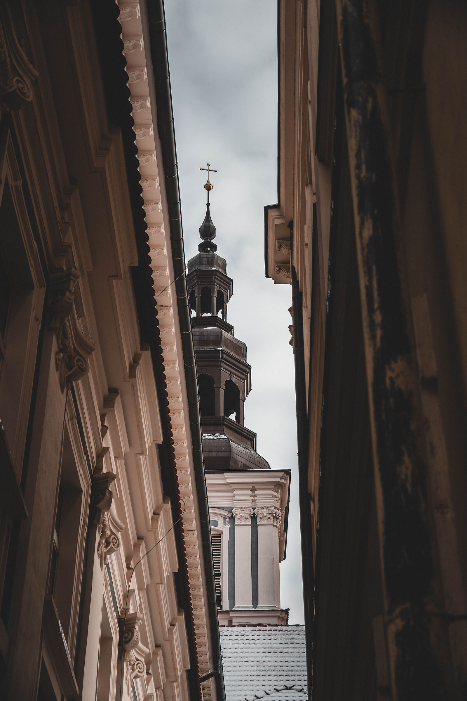 Squeezed Perspectives