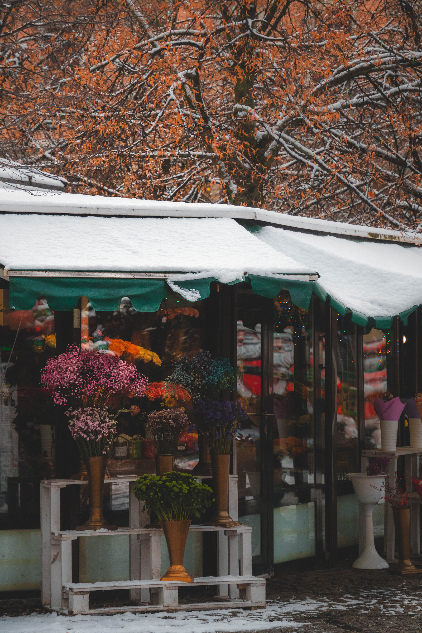 The Resistance of Color