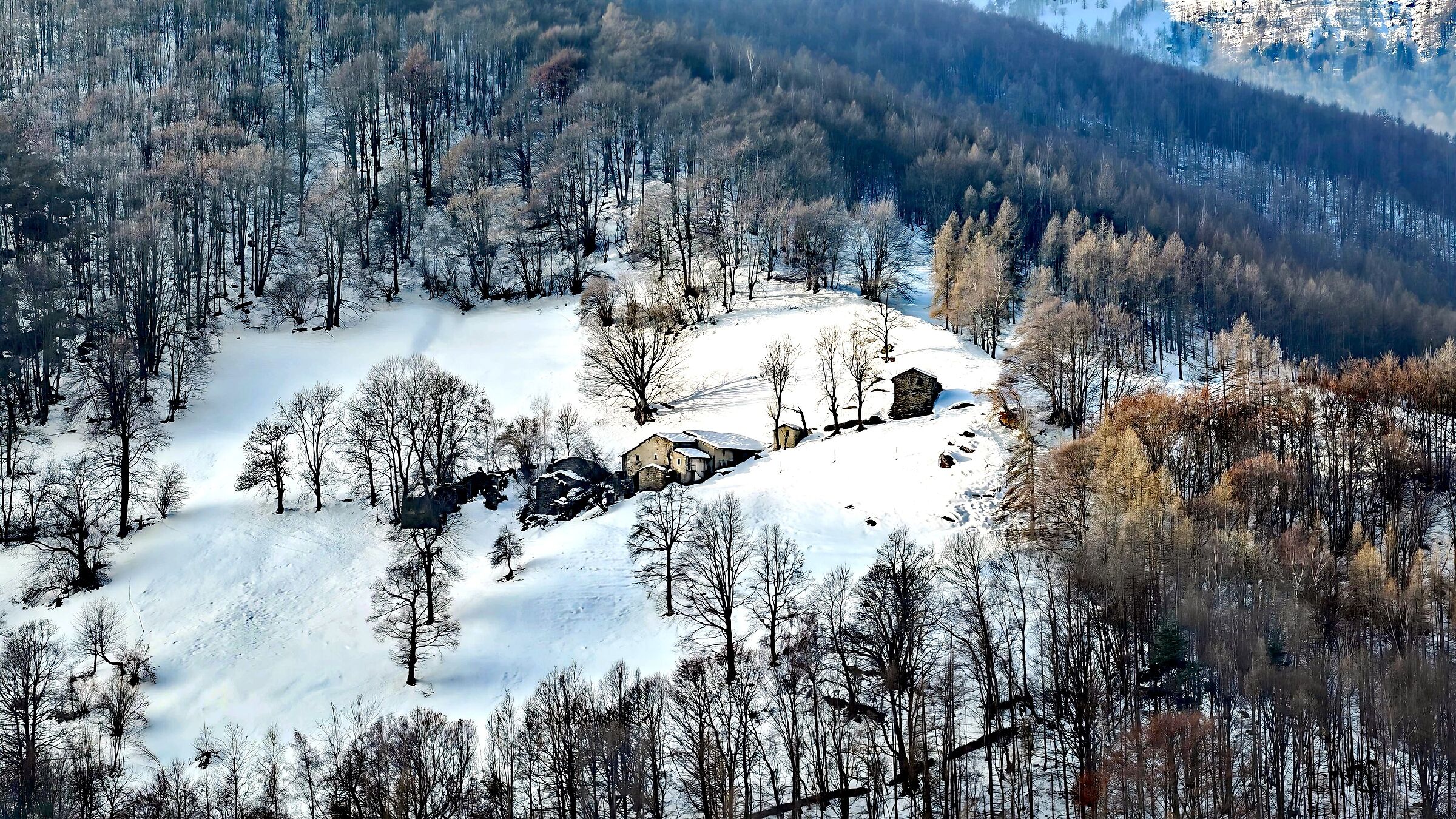 Snow-covered alpine pasture