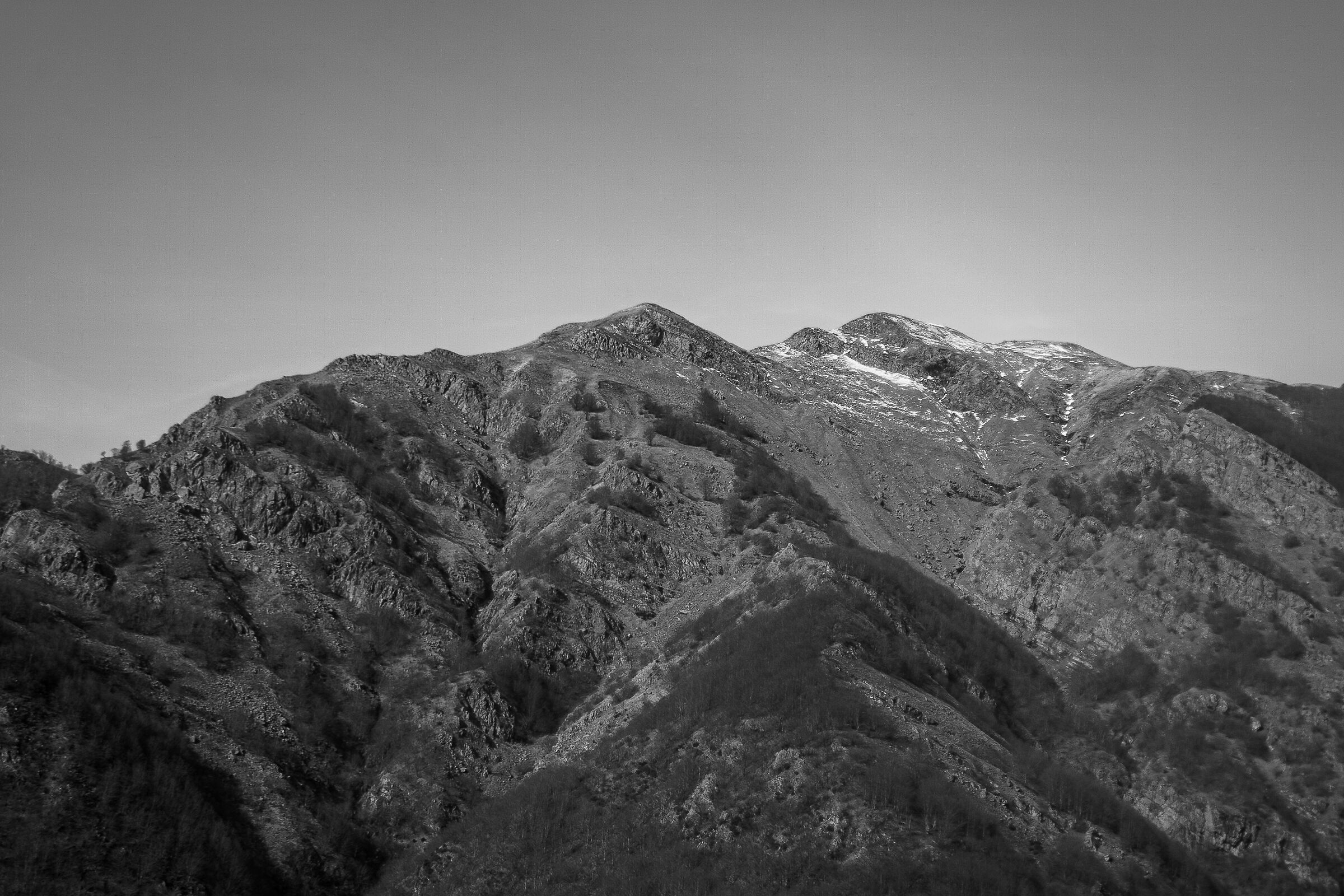 Untitled Photo