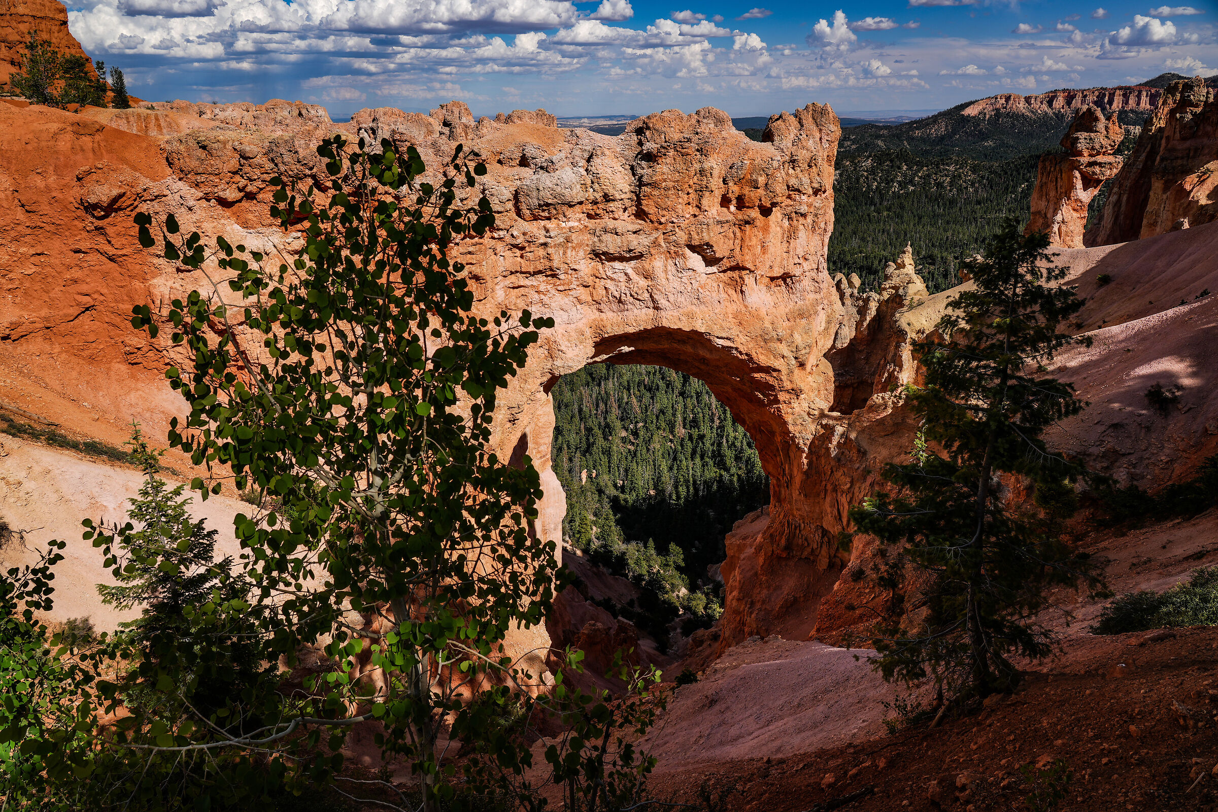 Natural Bridge
