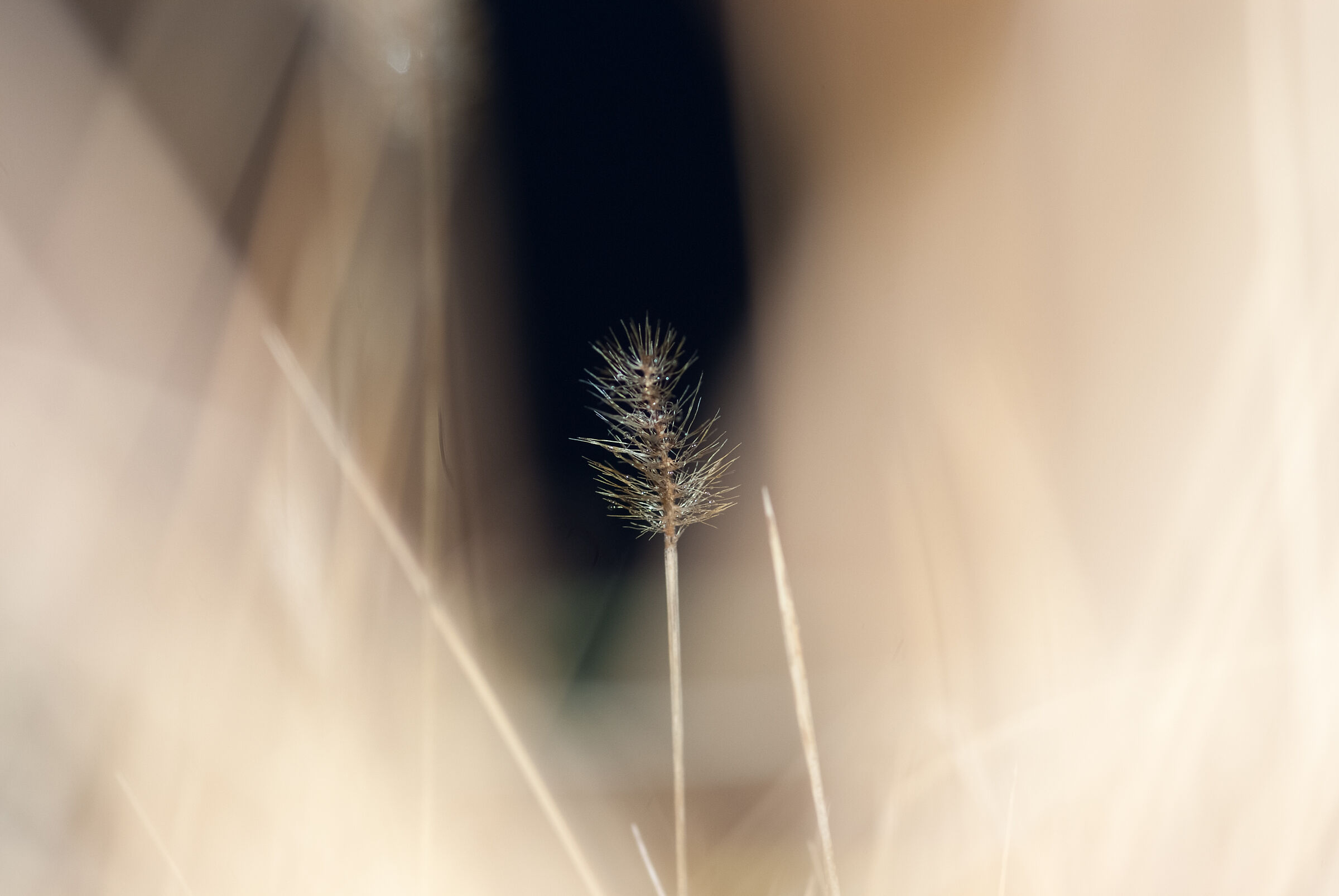 Untitled Photo