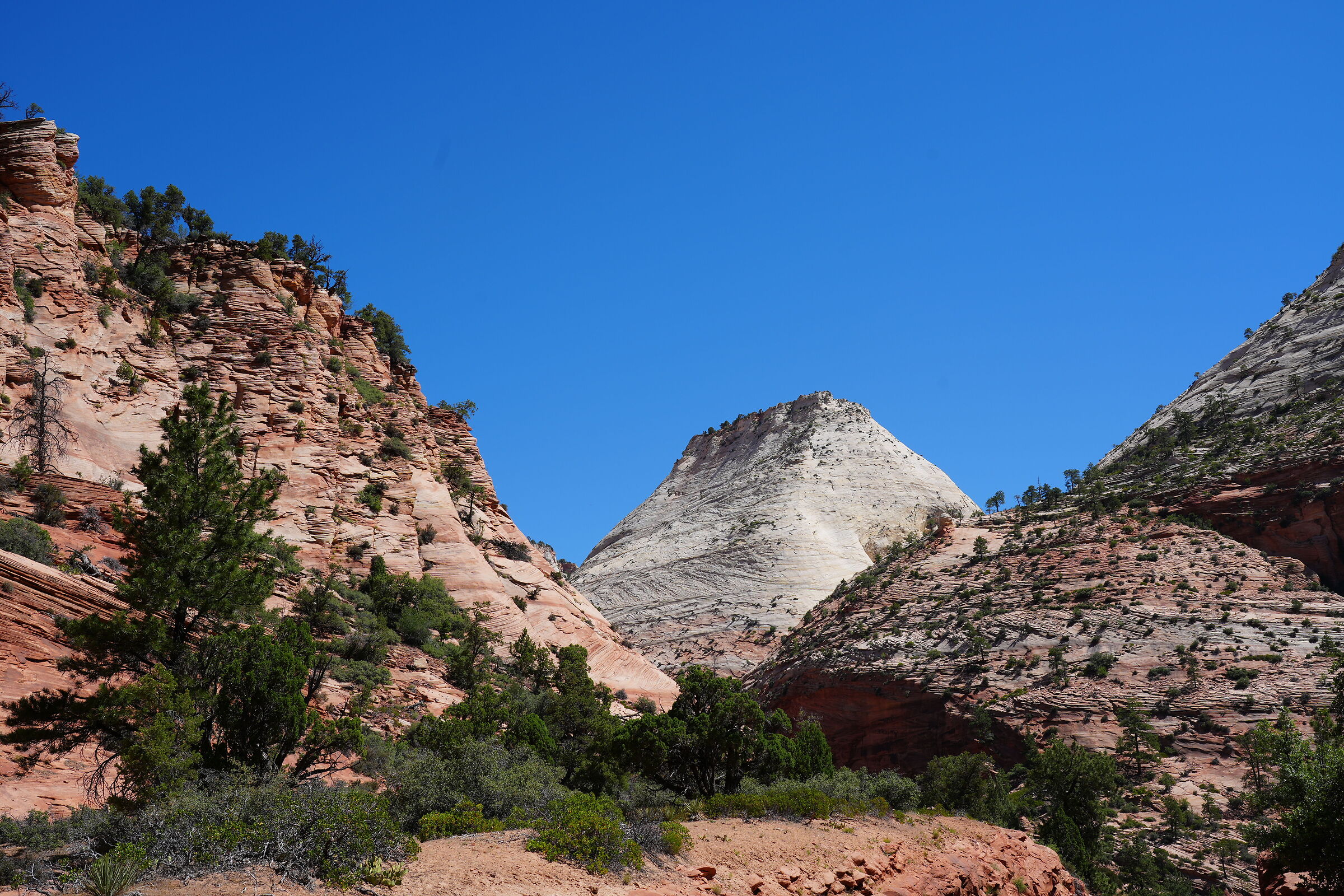 Zion Park