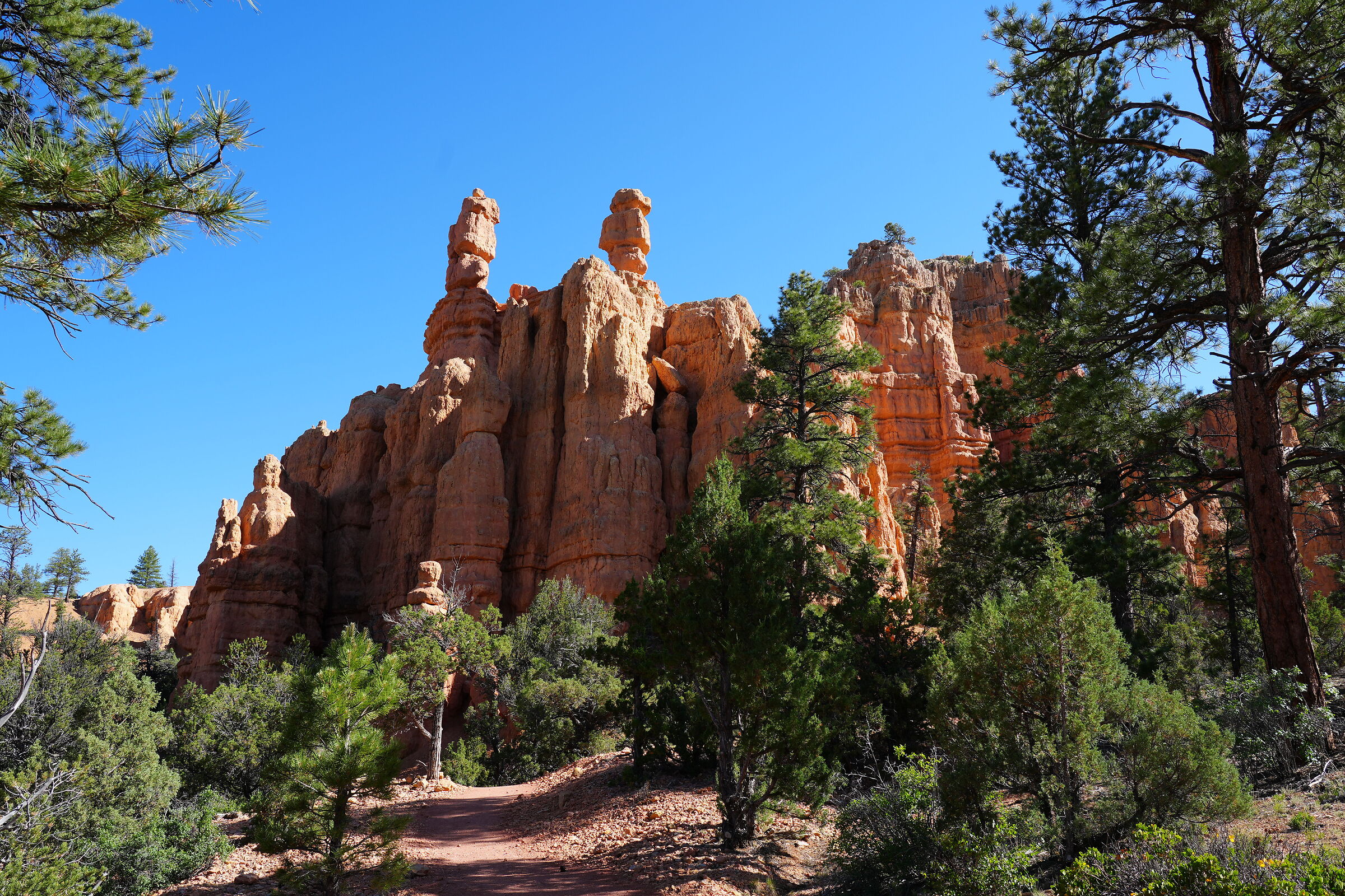 Red Canyon