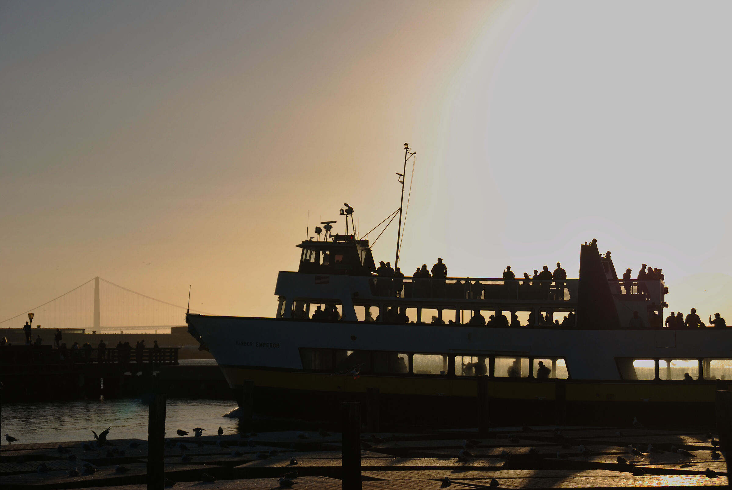 Sunset Ferry / San Francisco Bay